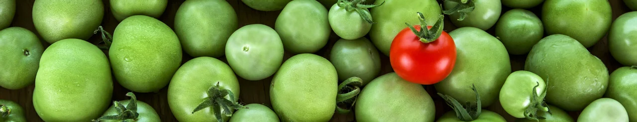 tomato.jpg