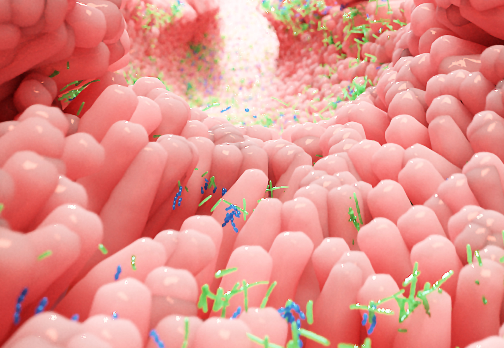 Optimizing Your Gut Microbiome: The Key to Enhanced Health and Well-Being
