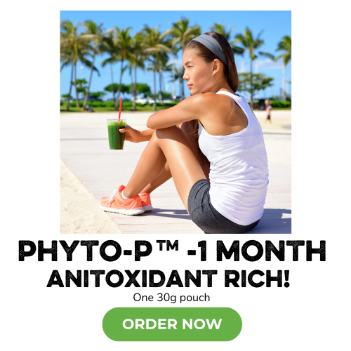 PP 1M Immune Blog