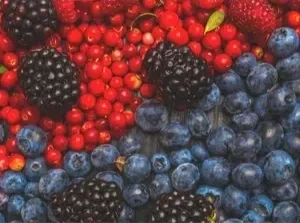 Top Polyphenols Foods: Health Benefits and Dietary Tips