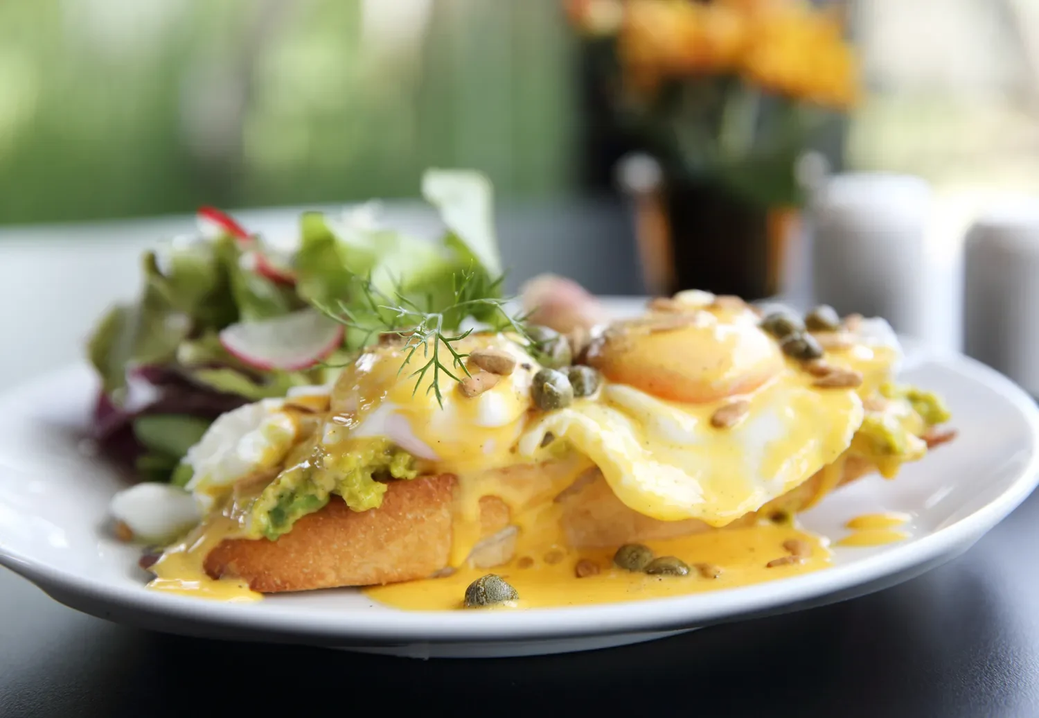 eggs on avocado toast with a fresh salad