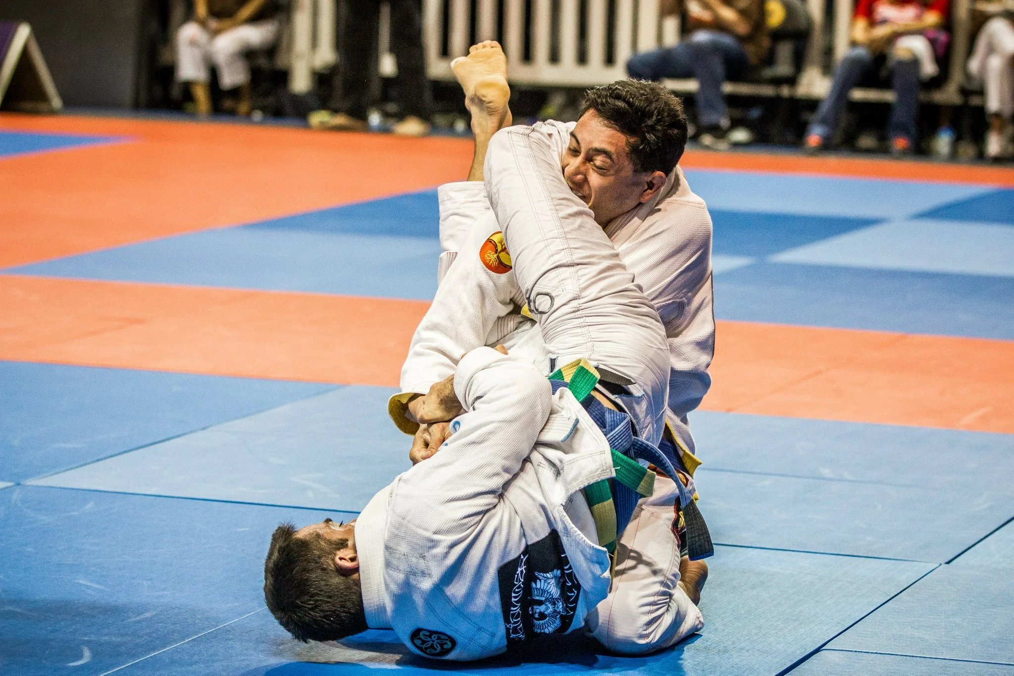 1402423_10152321442883989_1790856339_o.jpg