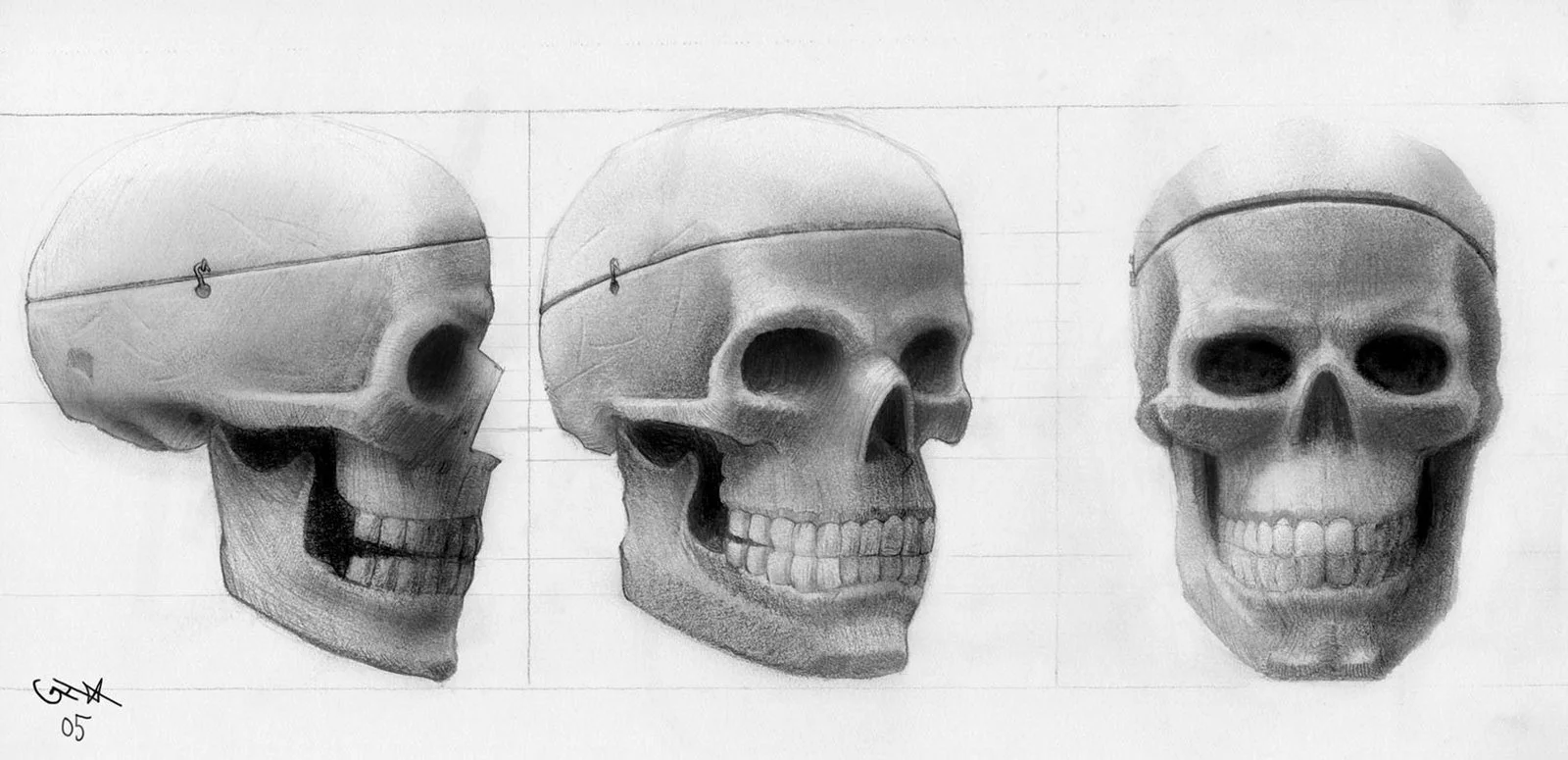 Anatomy_3 pt Turn_Skull.jpg