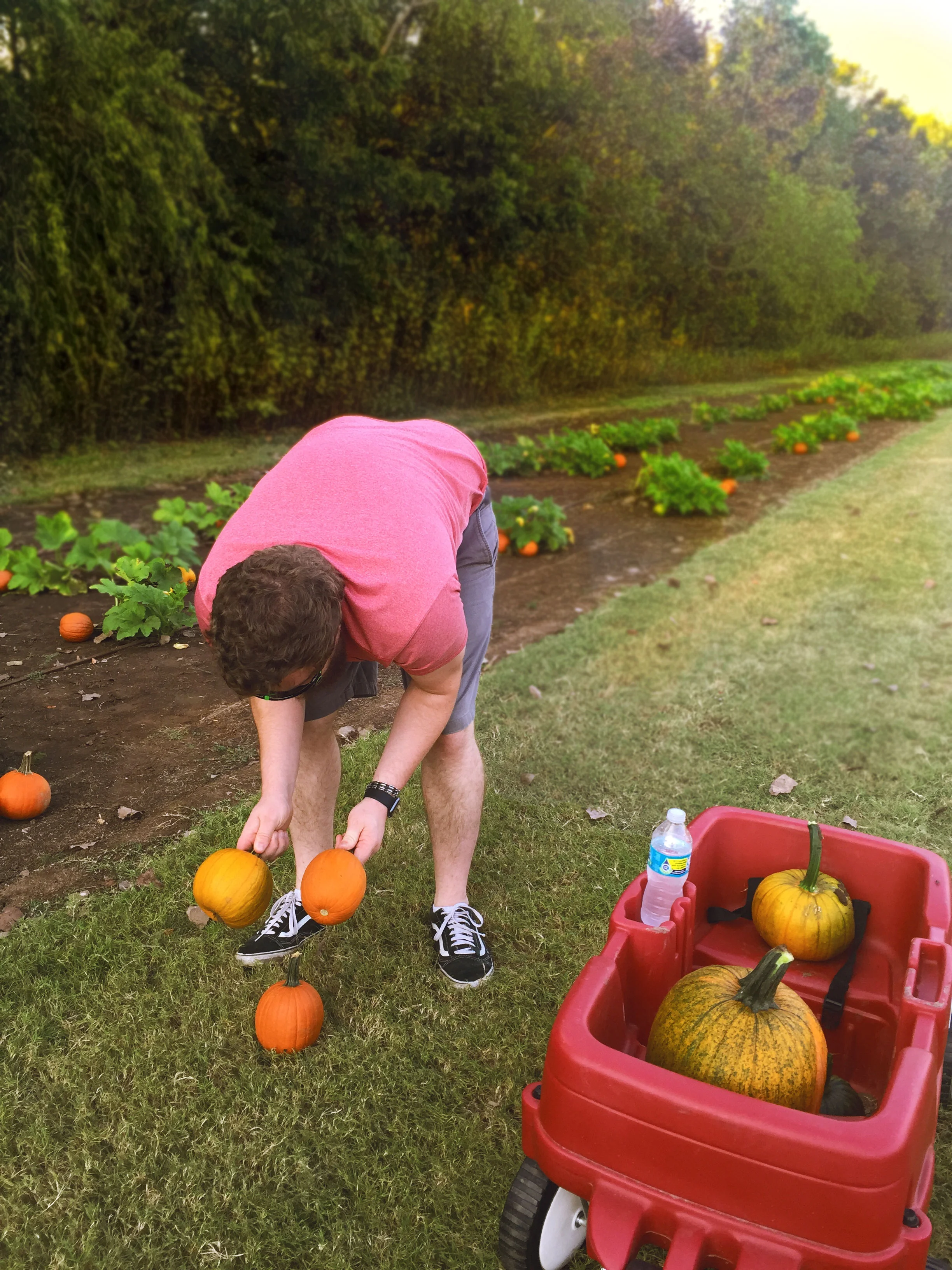 FallDay4.jpg