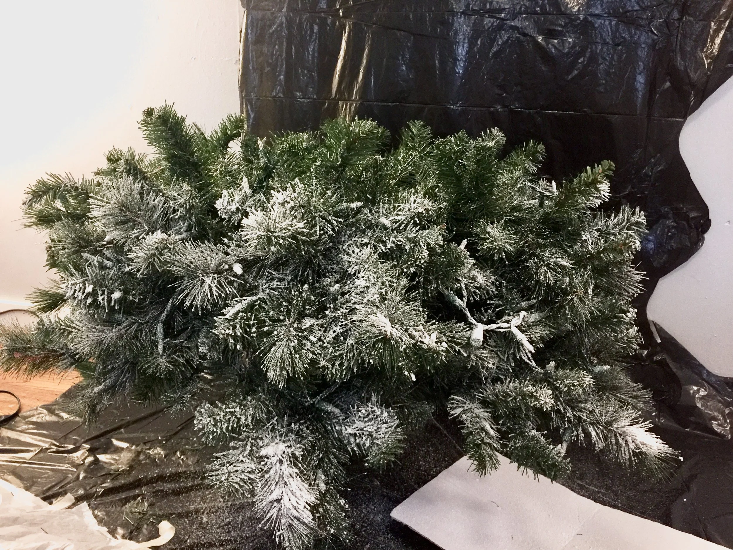 FullSizeRender (25).jpg