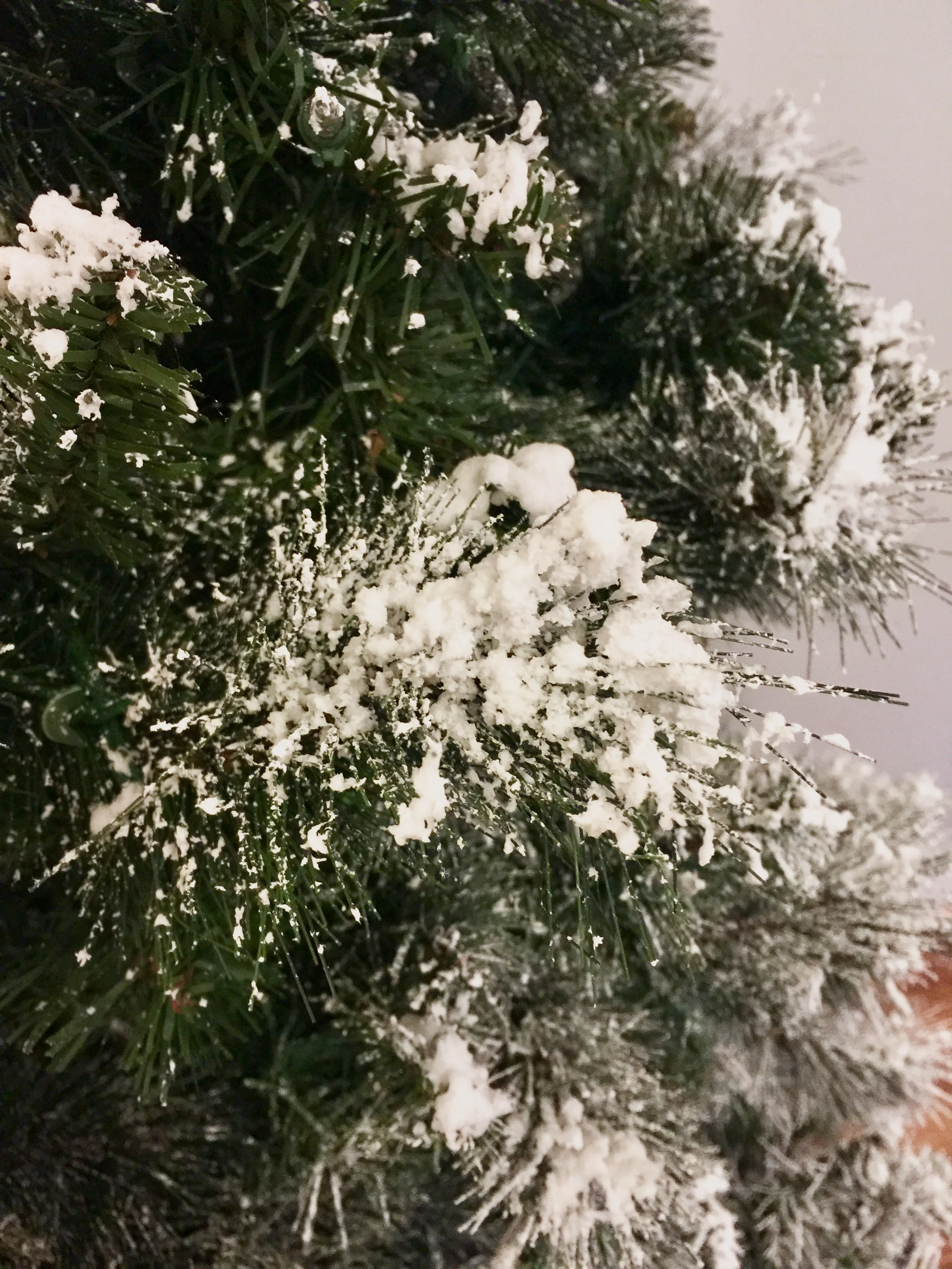 FullSizeRender (20).jpg