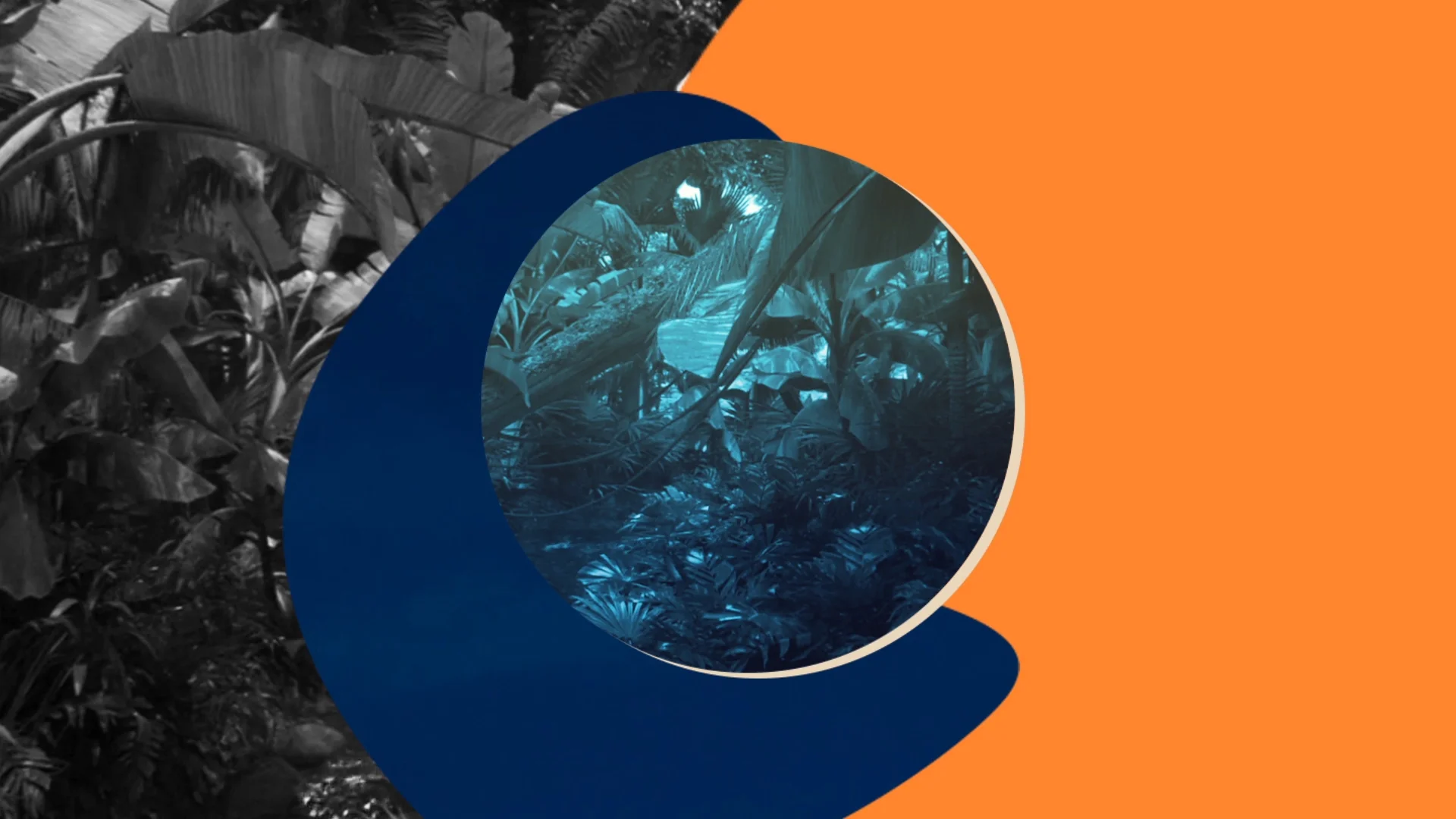 Collage_04.jpg