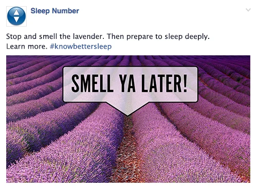 Smell.jpg