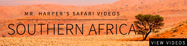 editorial-content-video-house-ad-africa2.jpg