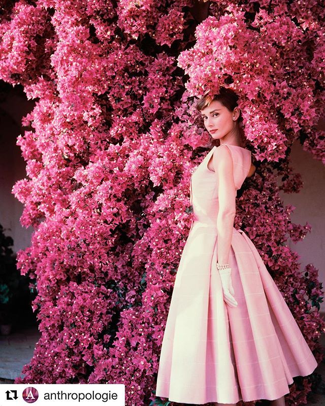 🌸🌷Happy Spring 🌷🌸 .
.
.
#audreyhepburn #spring #springequinox #flowers #beauty #love #styleinspiration #styleicon #classic #pink #happyspring #actor #actress
