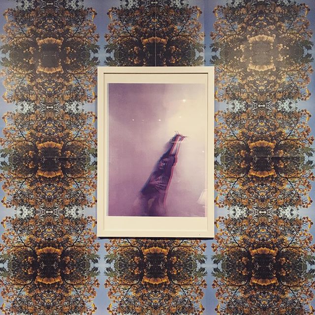 Sarah Henderson @luciocoffeetowine curated by @makearthabit on view till the end of the month