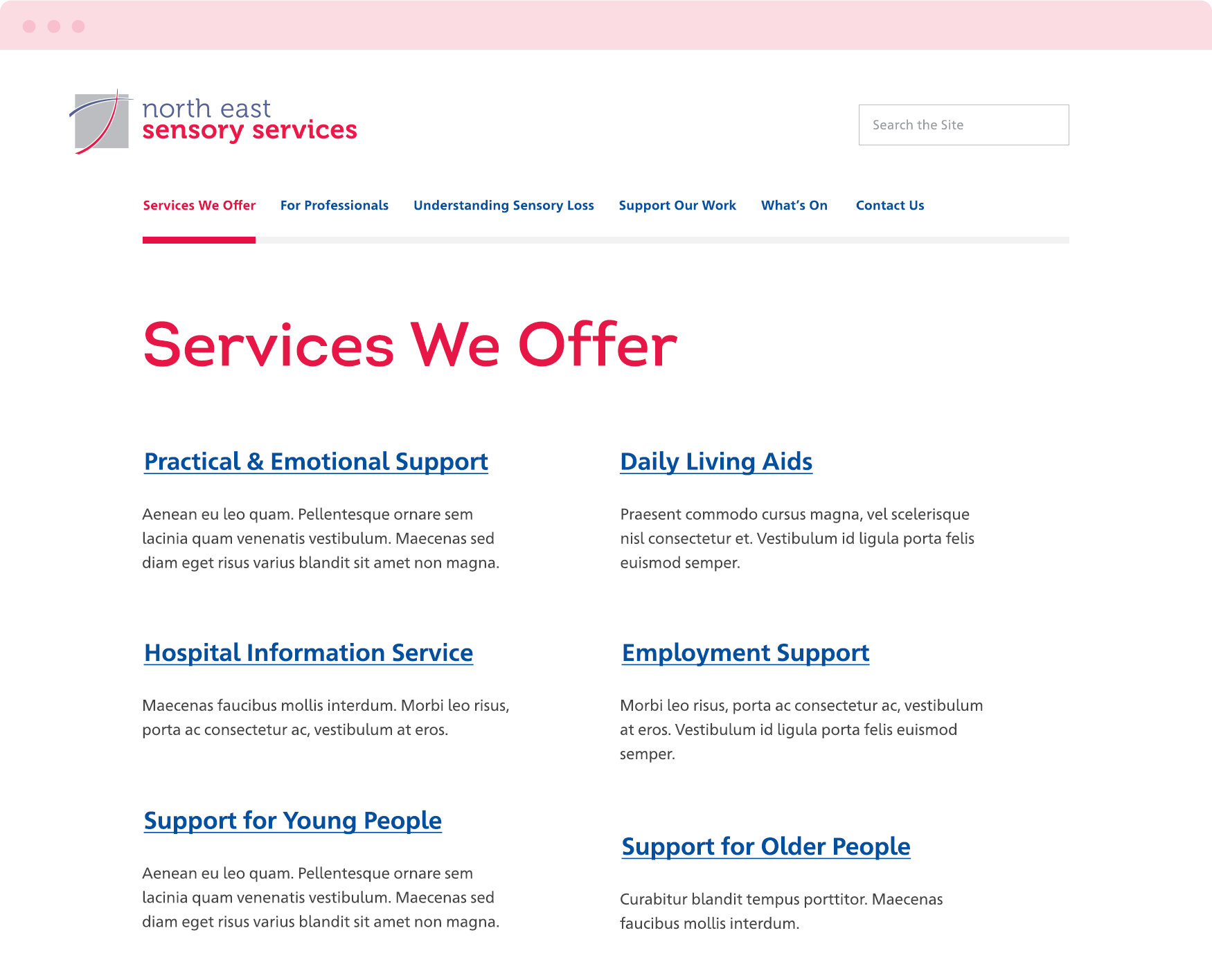 NESS-Services-Desktop.png
