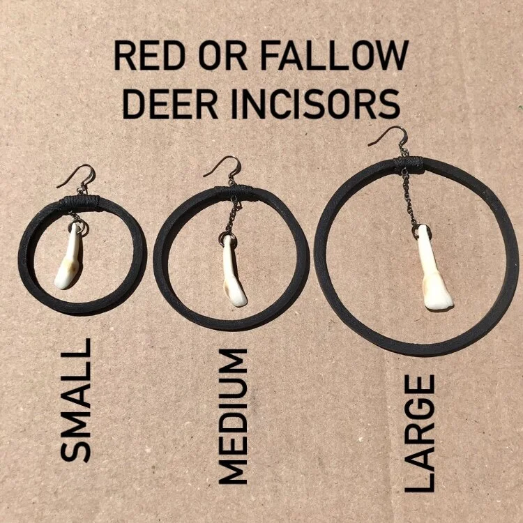 Bone Earrings- Sarahmholm-Deer Incisors.JPEG