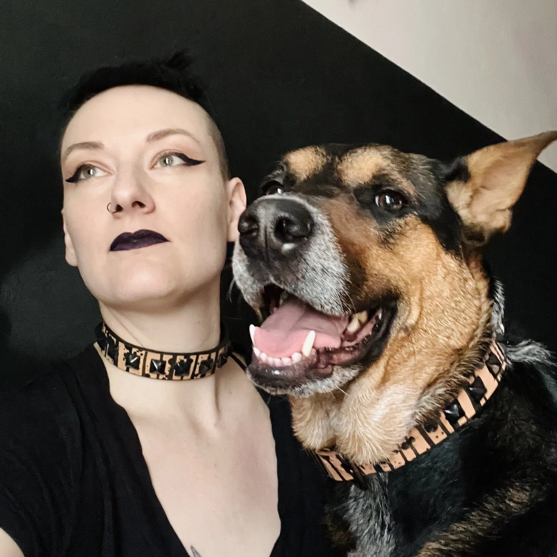 E1CBB976-0C88-48C9-B8F1-F09AFE84D73A