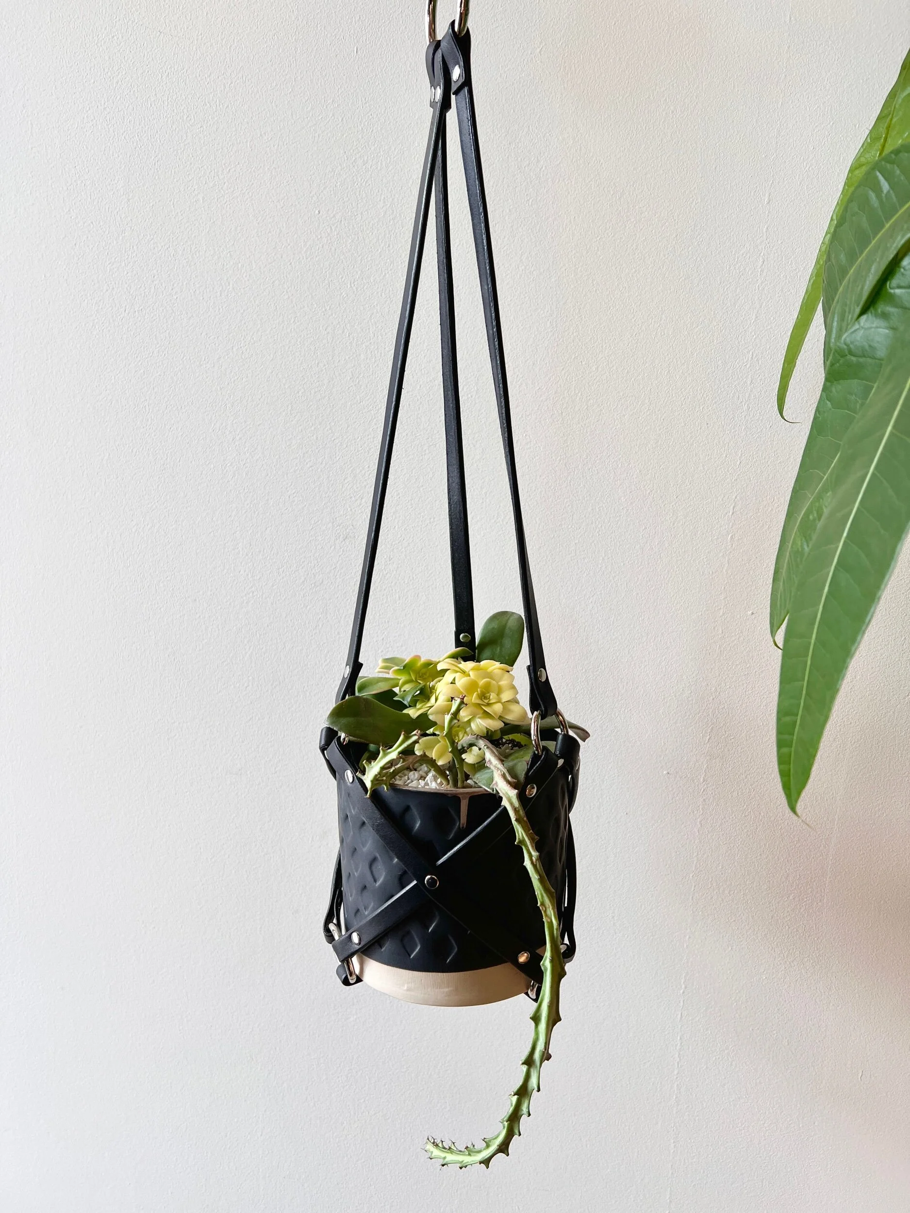 943CED79-1B7C-4A03-8AFB-5D4913FD99A5