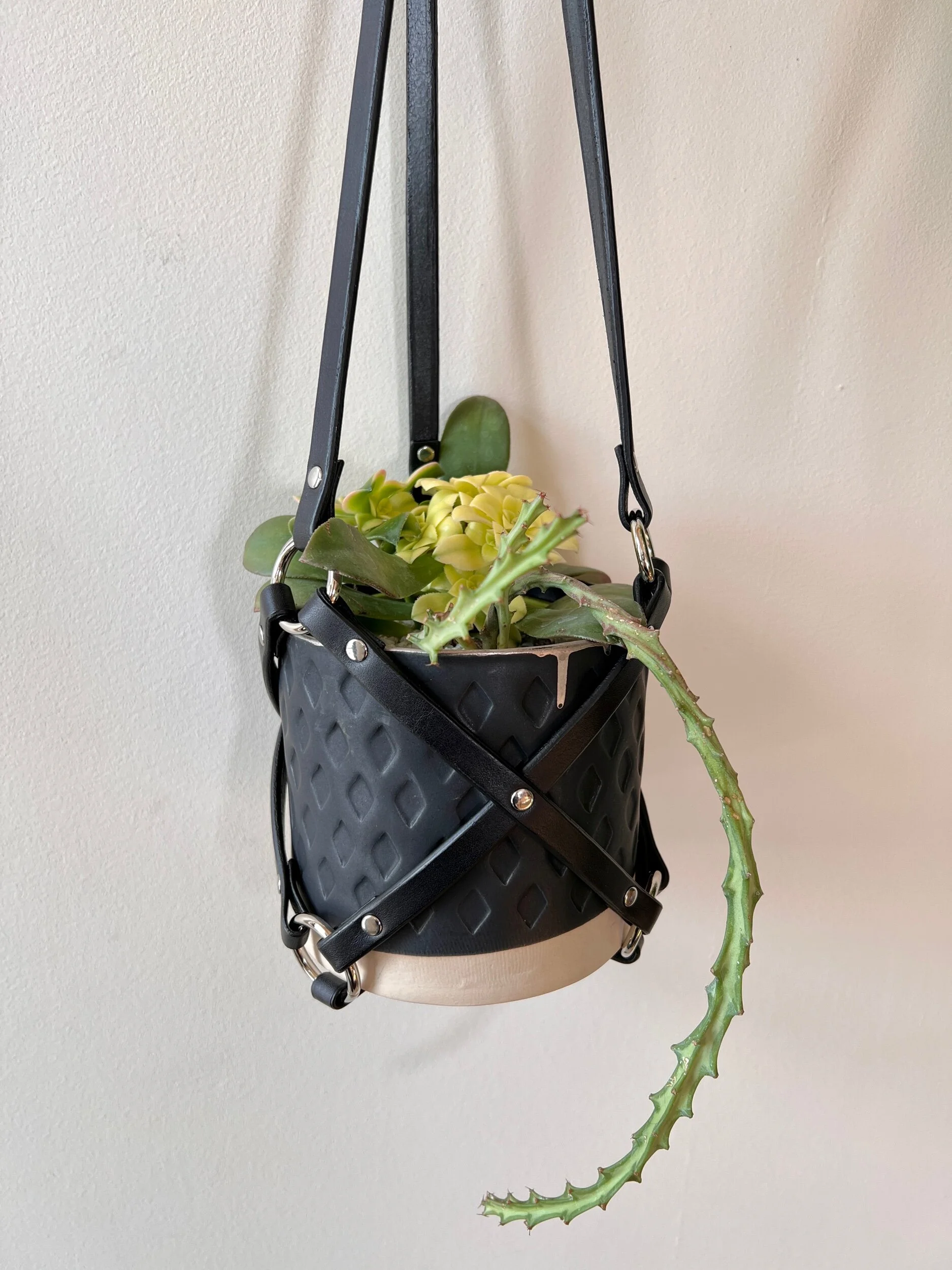 6C0C40EB-1276-4827-9209-C0E3FC854986