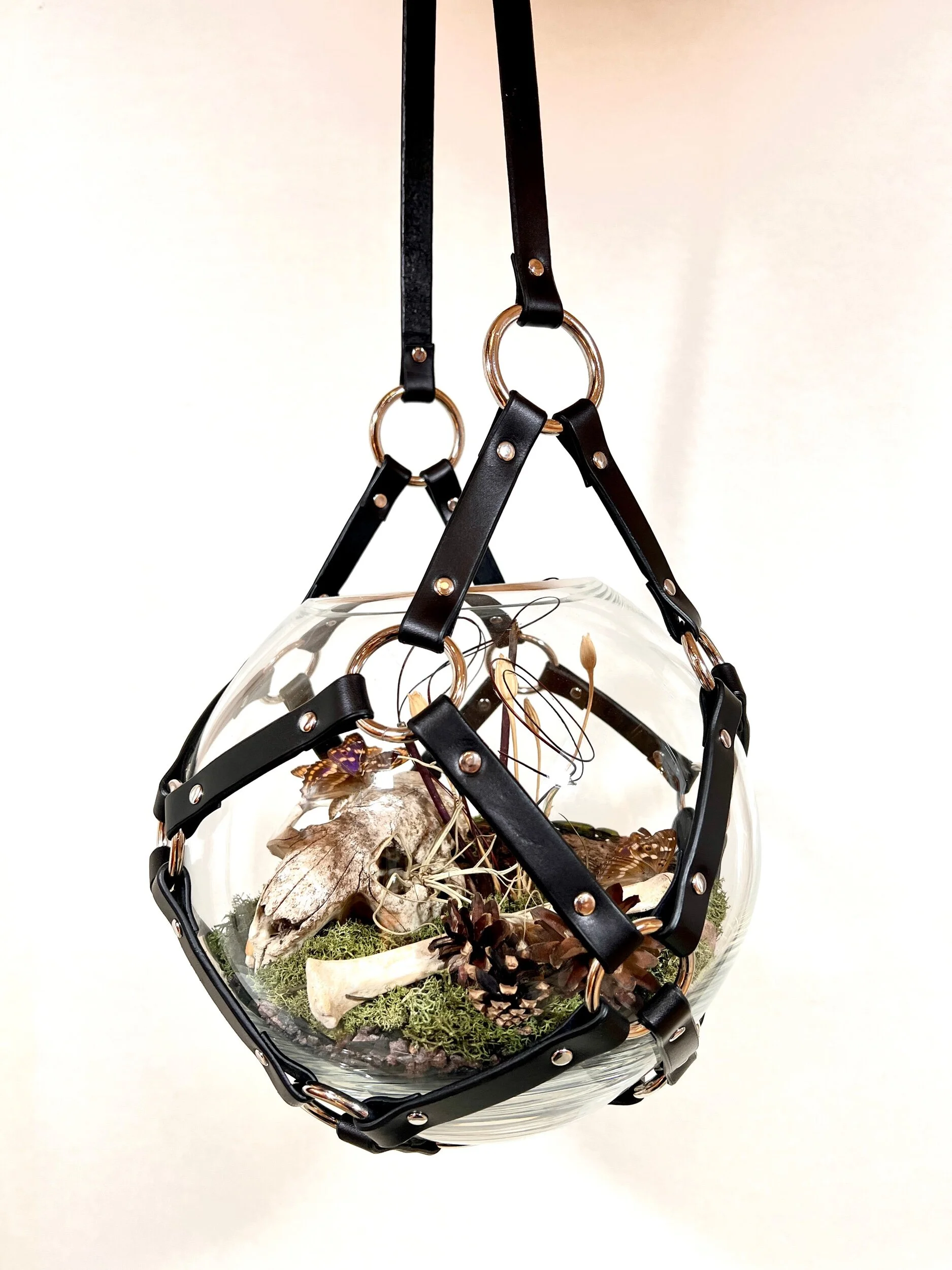 1E756D5E-BA0D-43F8-85B7-B9F619D7E43A