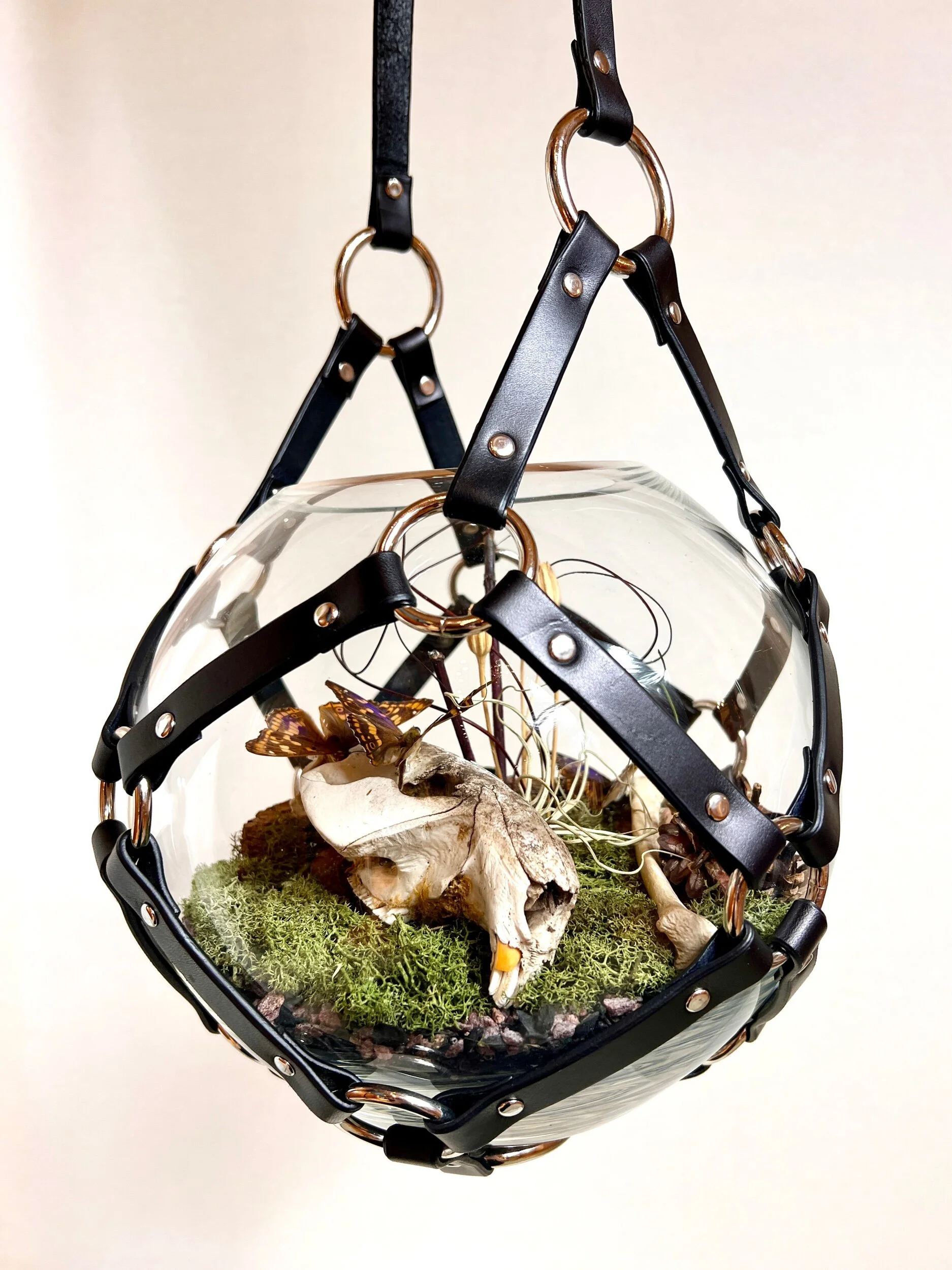 65737CBD-3623-45A1-B2B7-4D6C183EDDF4