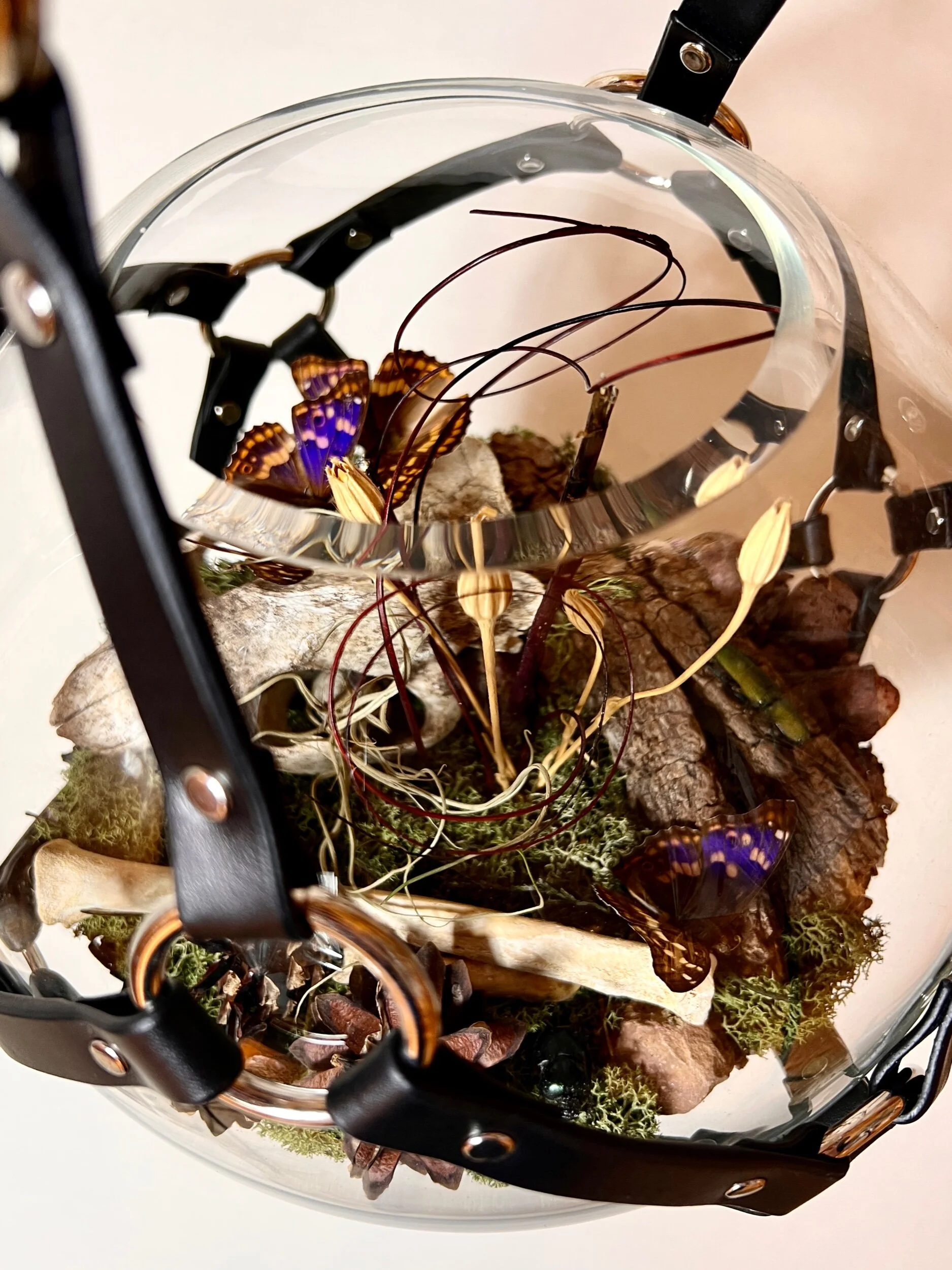 9506DFDA-2C15-47AF-B496-38A96AA5AC57