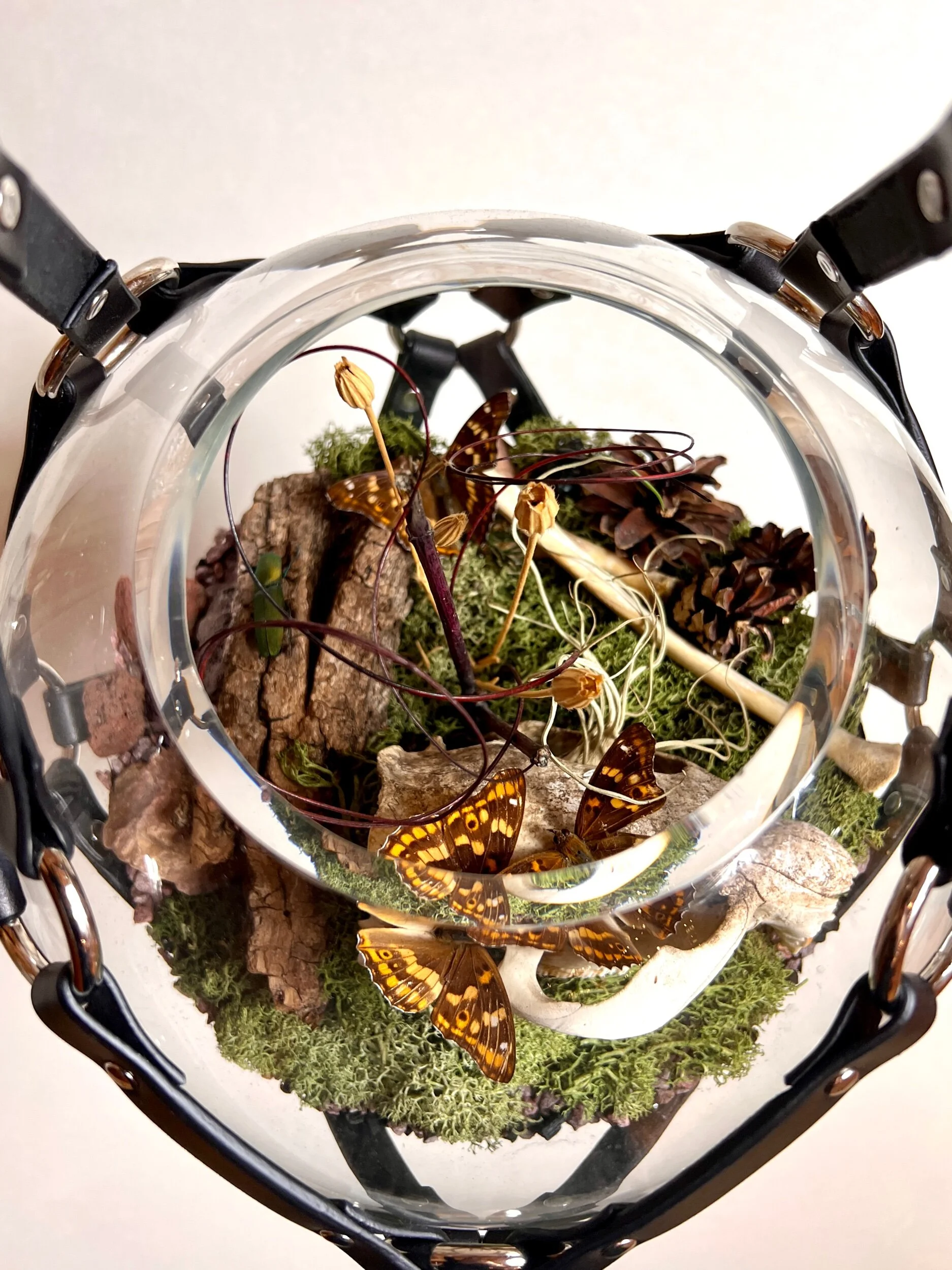 87216E3B-FD6B-4F79-A2CD-19A1A7AC75ED