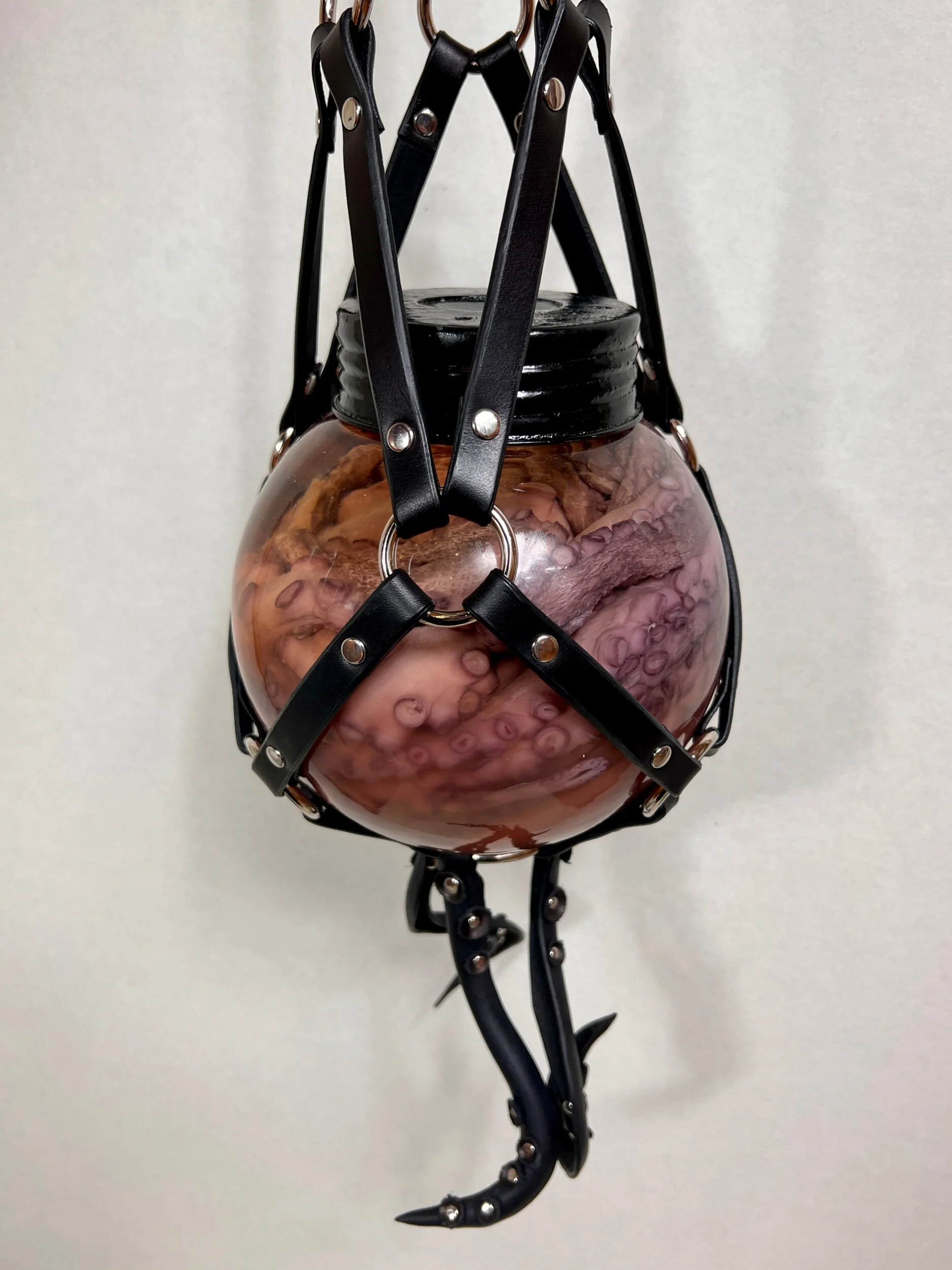 48BB48A7-4318-4C19-8684-32979F4622B7