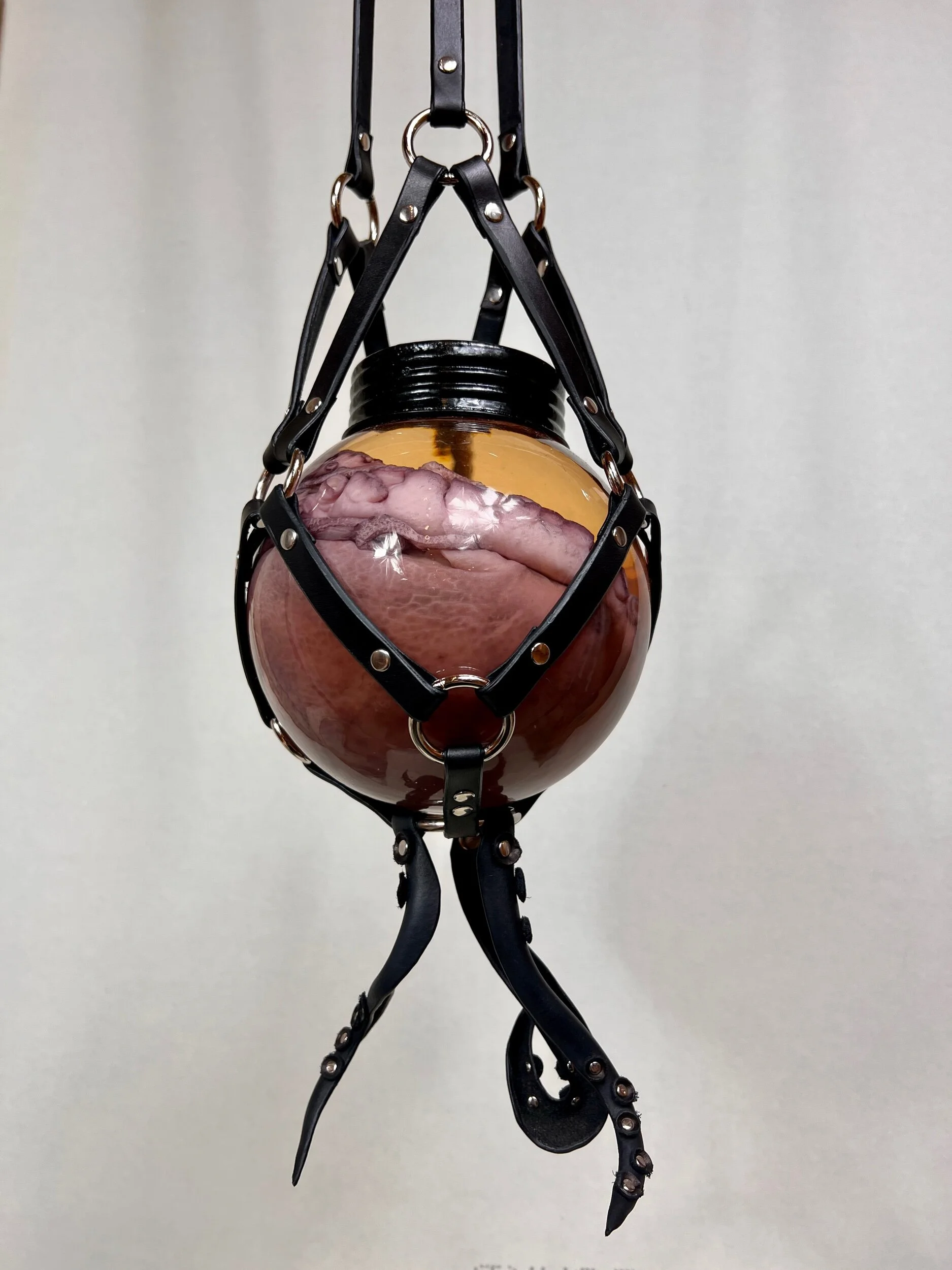 33A2B5B9-FD5E-467F-9415-B6BA4C76B797