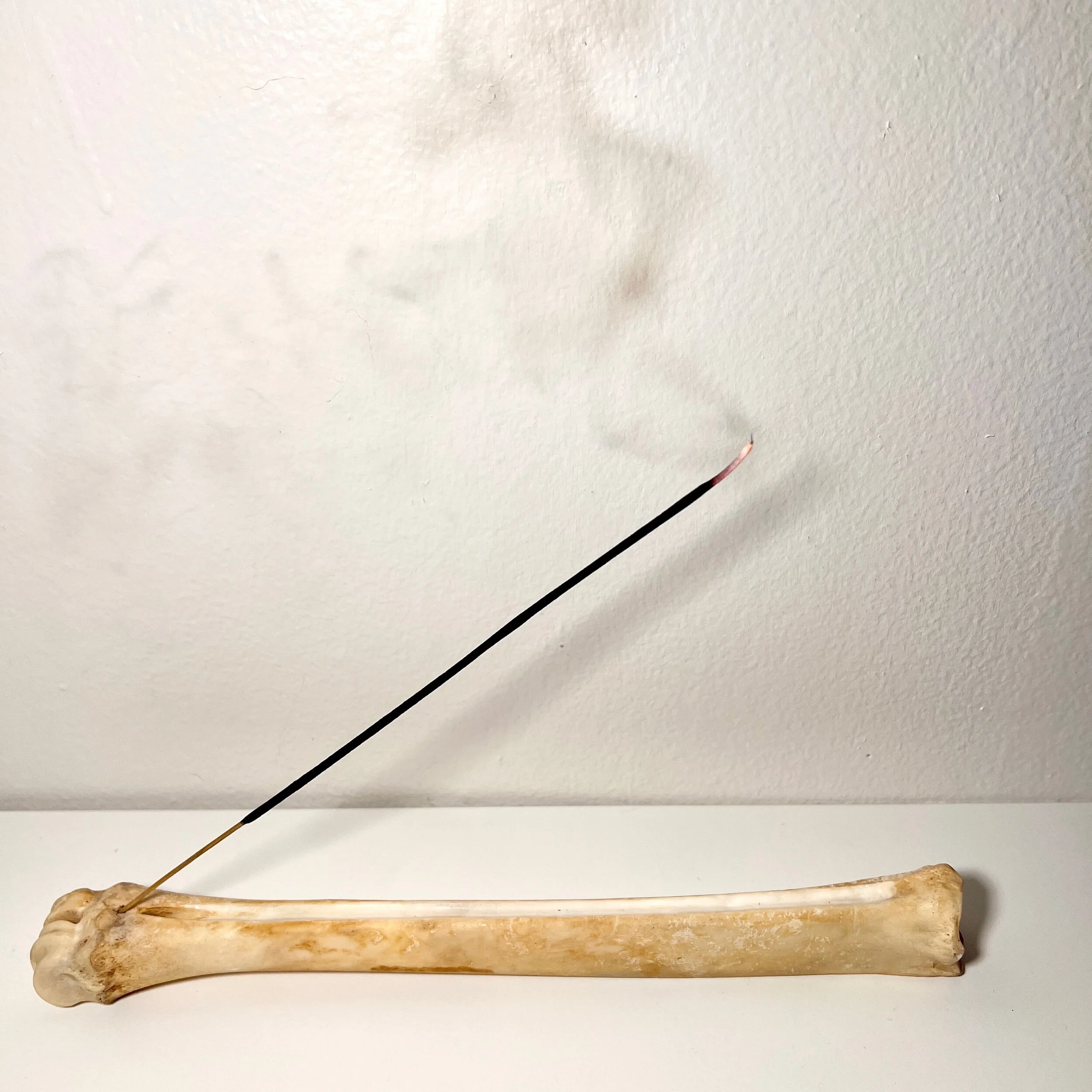 45D1EA44-3C69-447E-9FA9-9B52B0306D2A