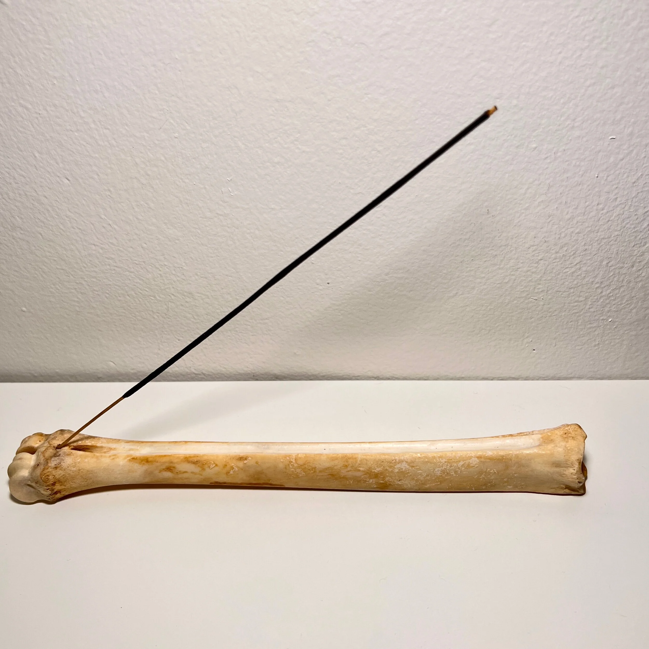 93DDD8AE-0E5E-493A-9247-386D2F2C3D3B