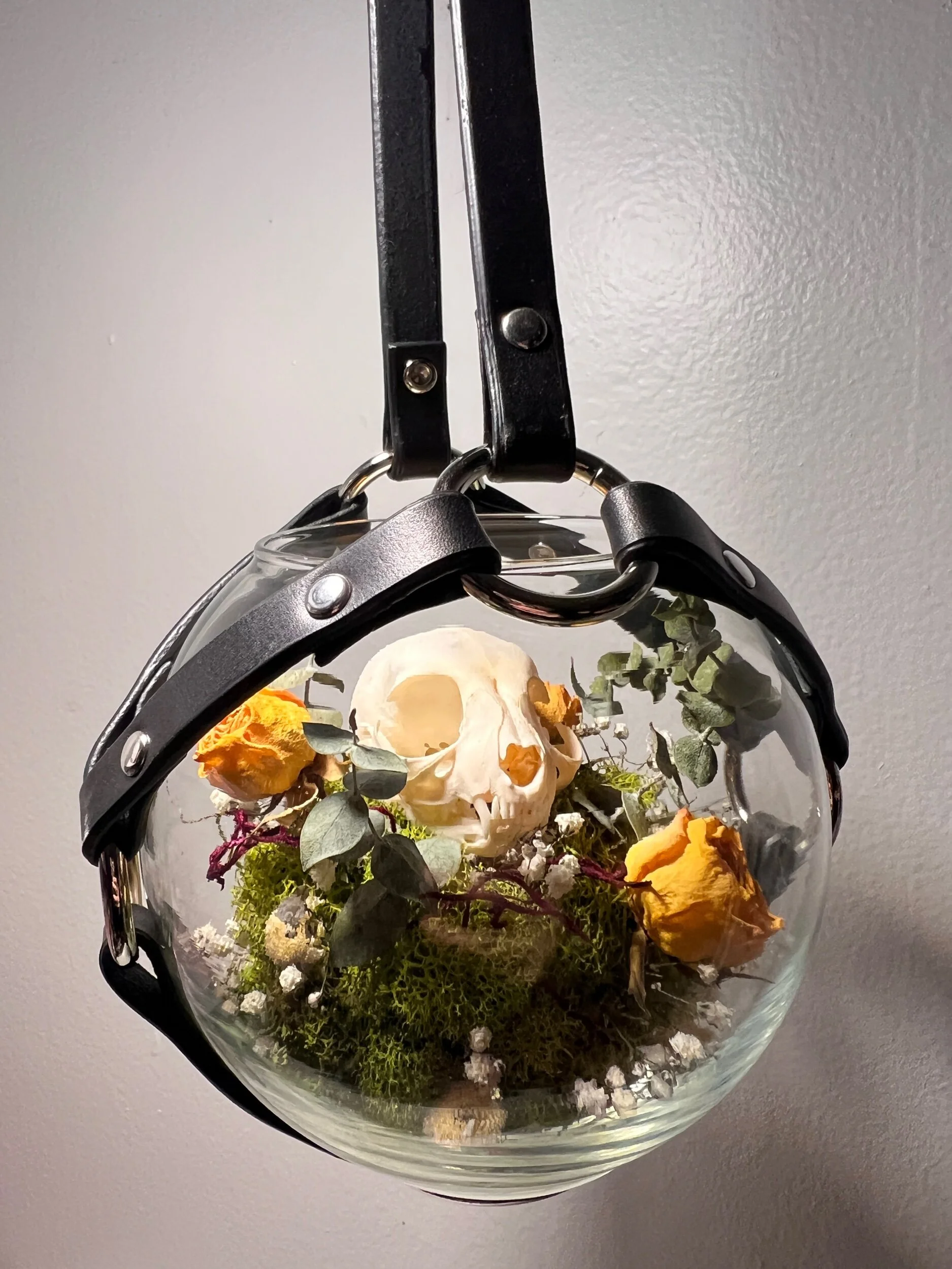 35D65A1C-8072-40CC-AA4E-3D6C9227417E