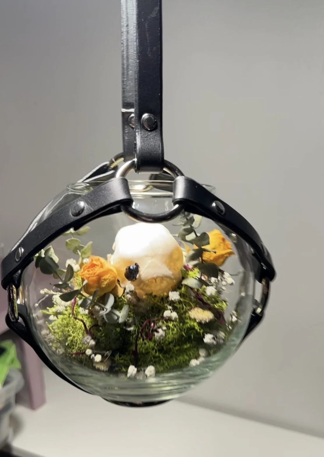 A204FB64-9565-48C3-A0F6-E03E6AF49985