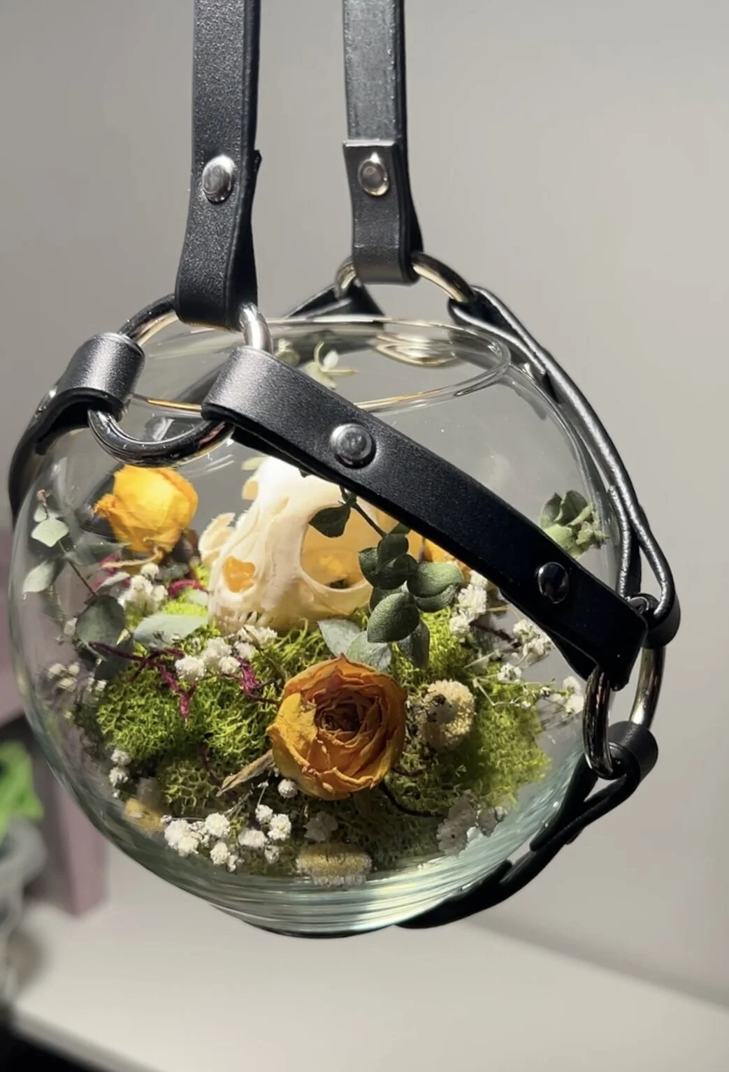 88894435-E8DB-4951-B478-CEB015C3765A