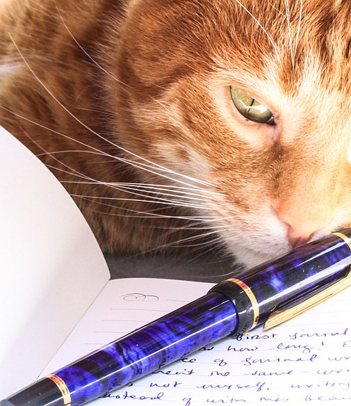 NOT the copywriter. This is her "intern".