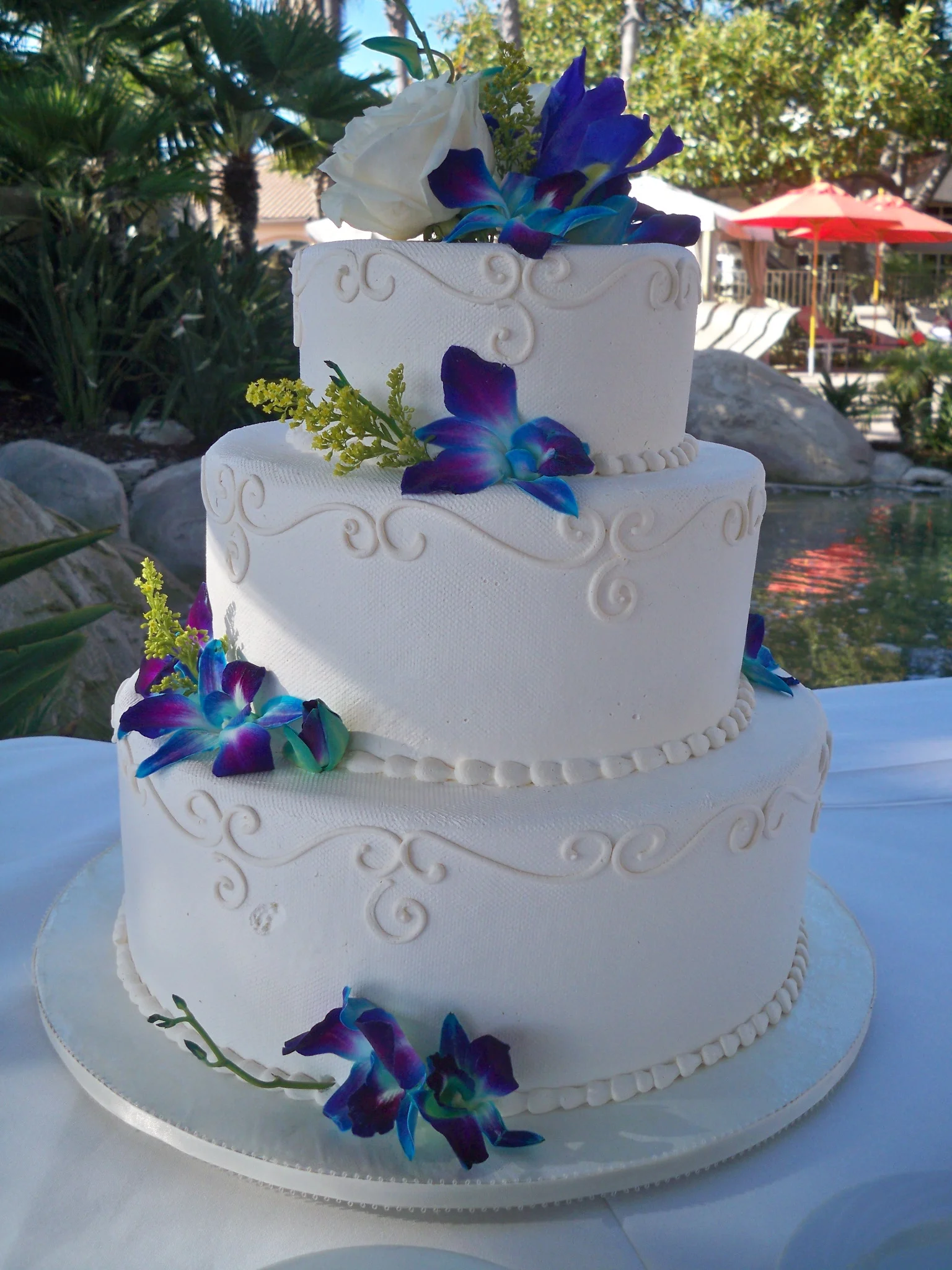 kinzel annathea 014.JPG