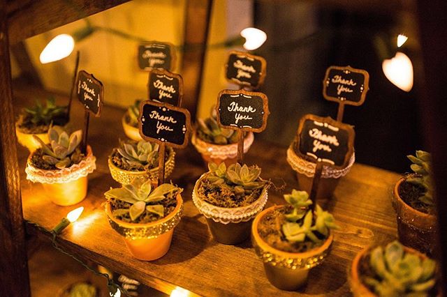 Adorable favor alert! Evan and Kimberly had the cutest succulent favors for their guests, encouraging to &quot;Let love grow&quot;. #weddingfavors #succulentfavors #letlovegrow #elementsofstylesd
&bull;
📸@jefflewis @realphotosd