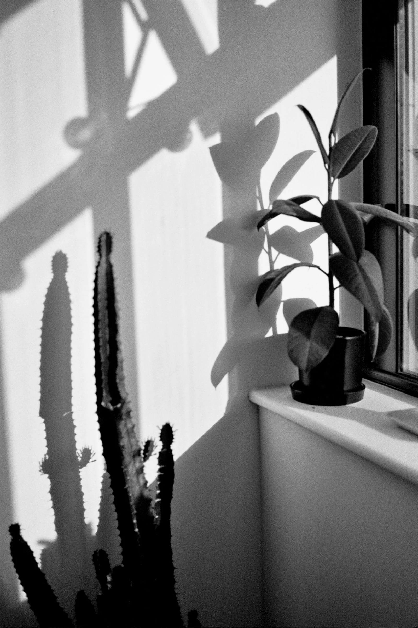 untitled-0636.jpg