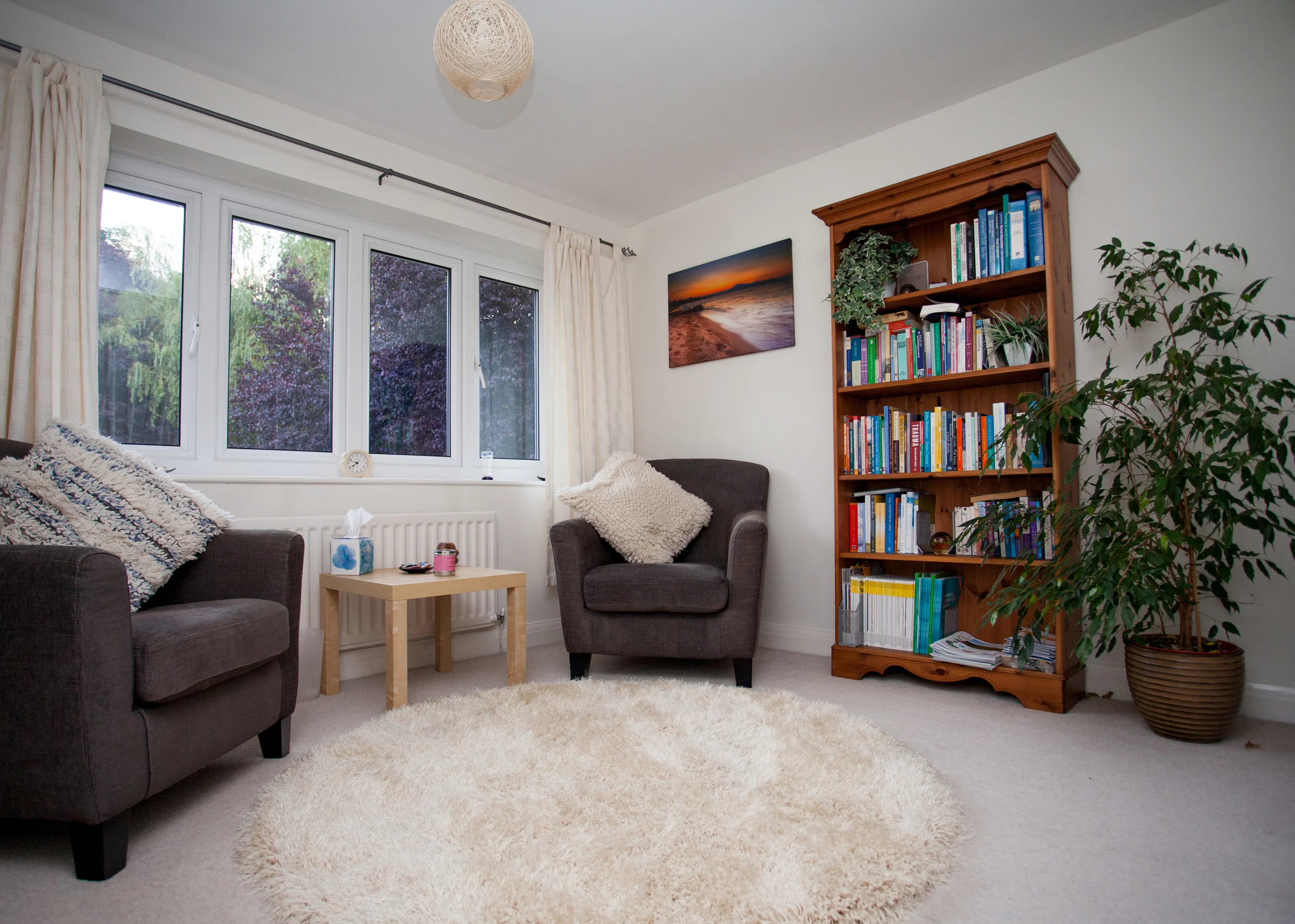 My Counselling room