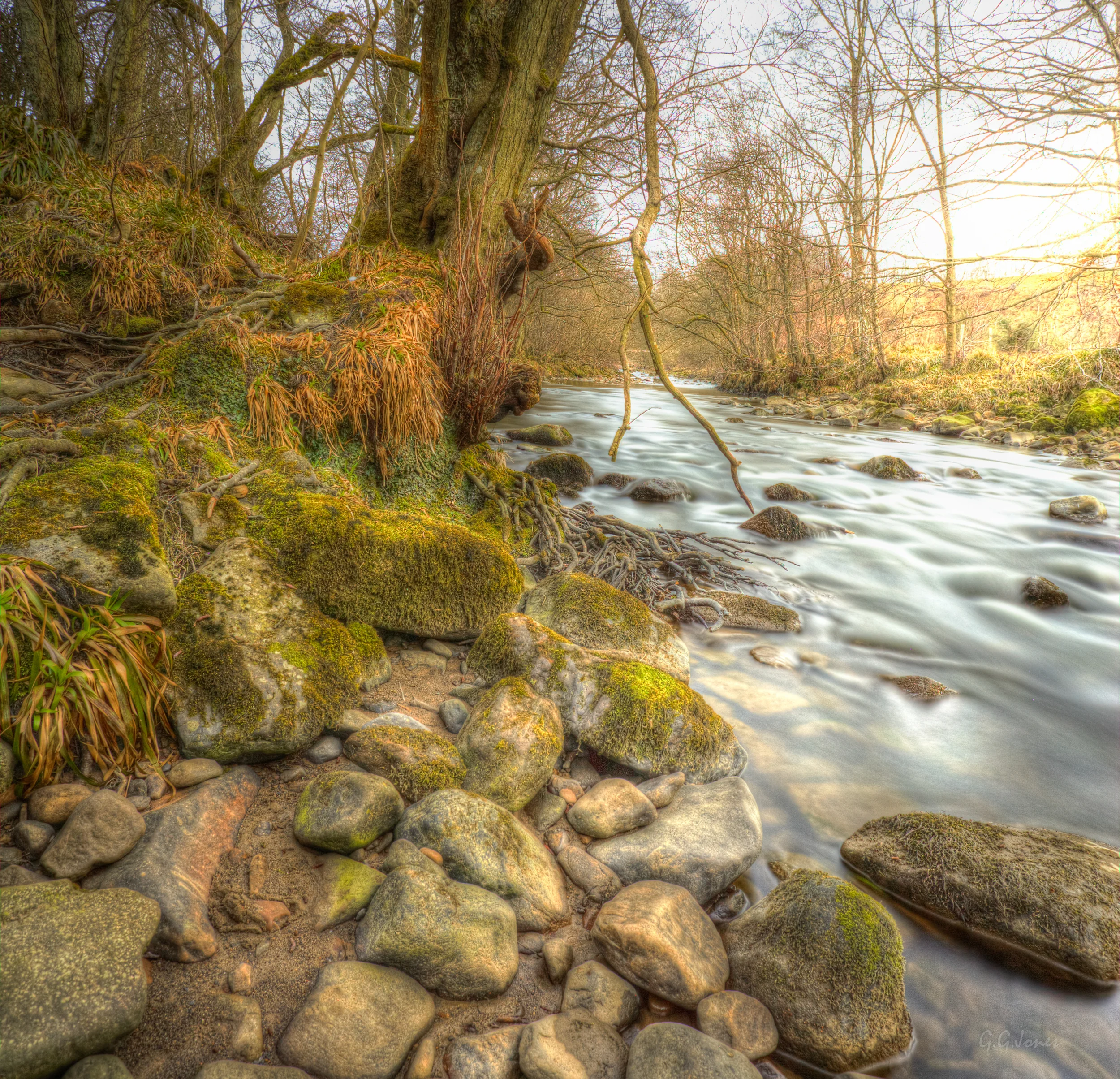 I believe that life is like a river; fluid and ever changing, sometimes gentle and clear, and other times a raging, murky torrent!
