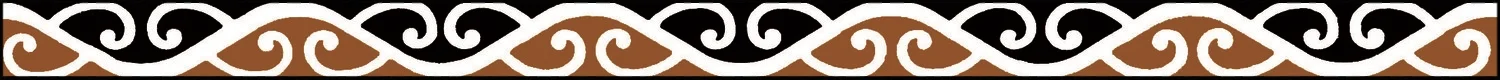 maori koru