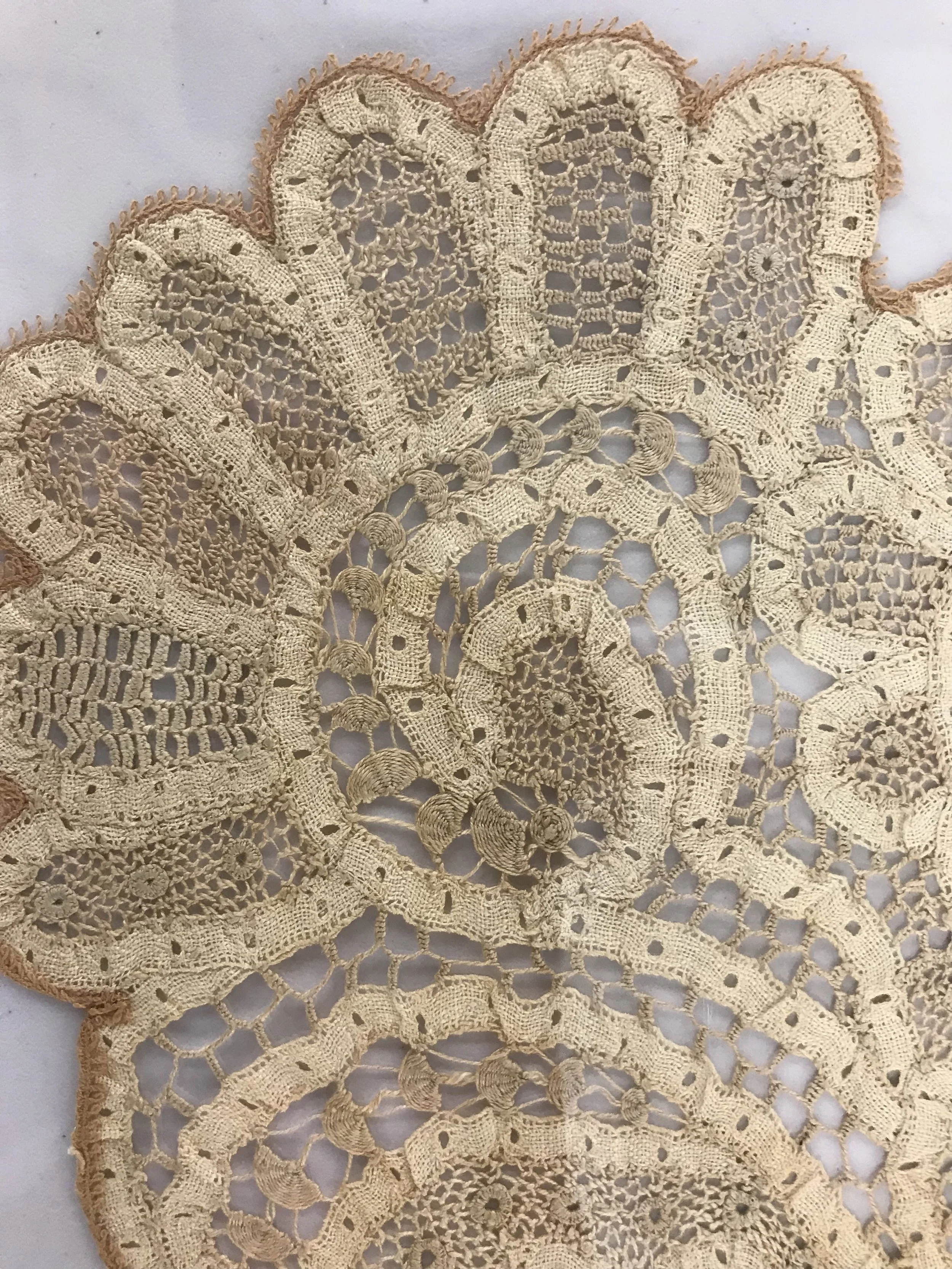 2025_Archival_Lace_Powerhouse.jpg