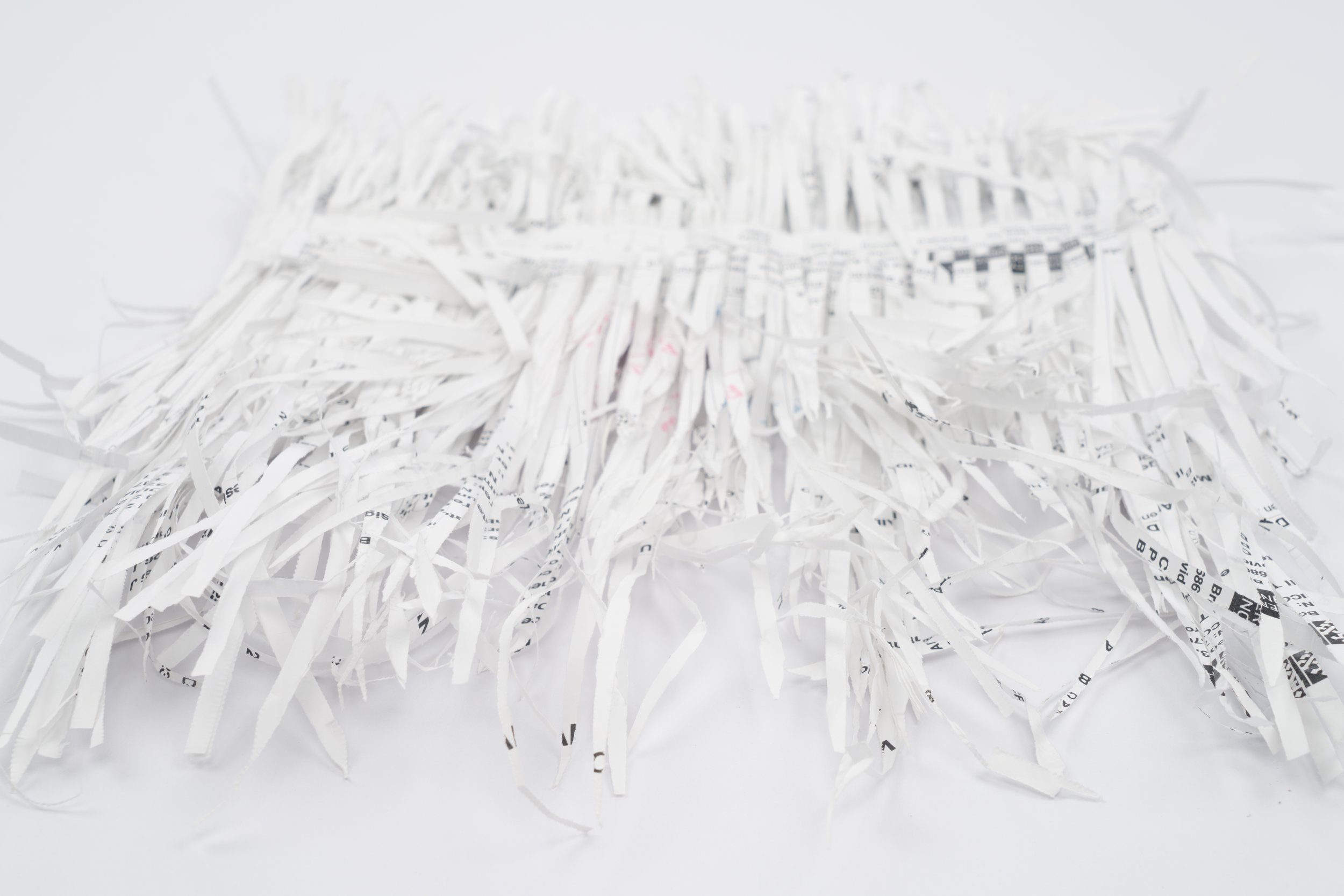2023_shredded_paper_semi_blurred.jpg