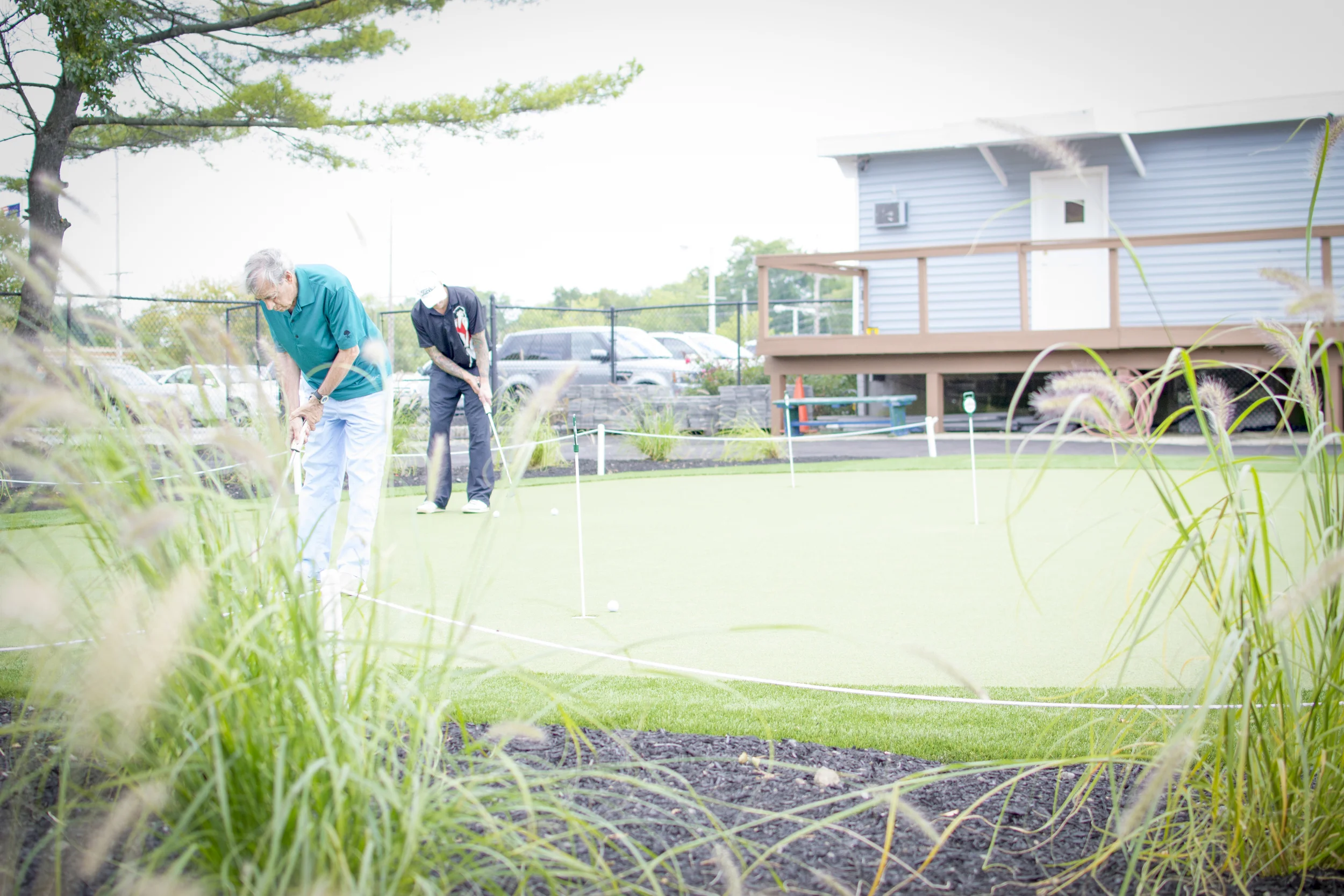 Putting Green - From Bushes 1.jpg