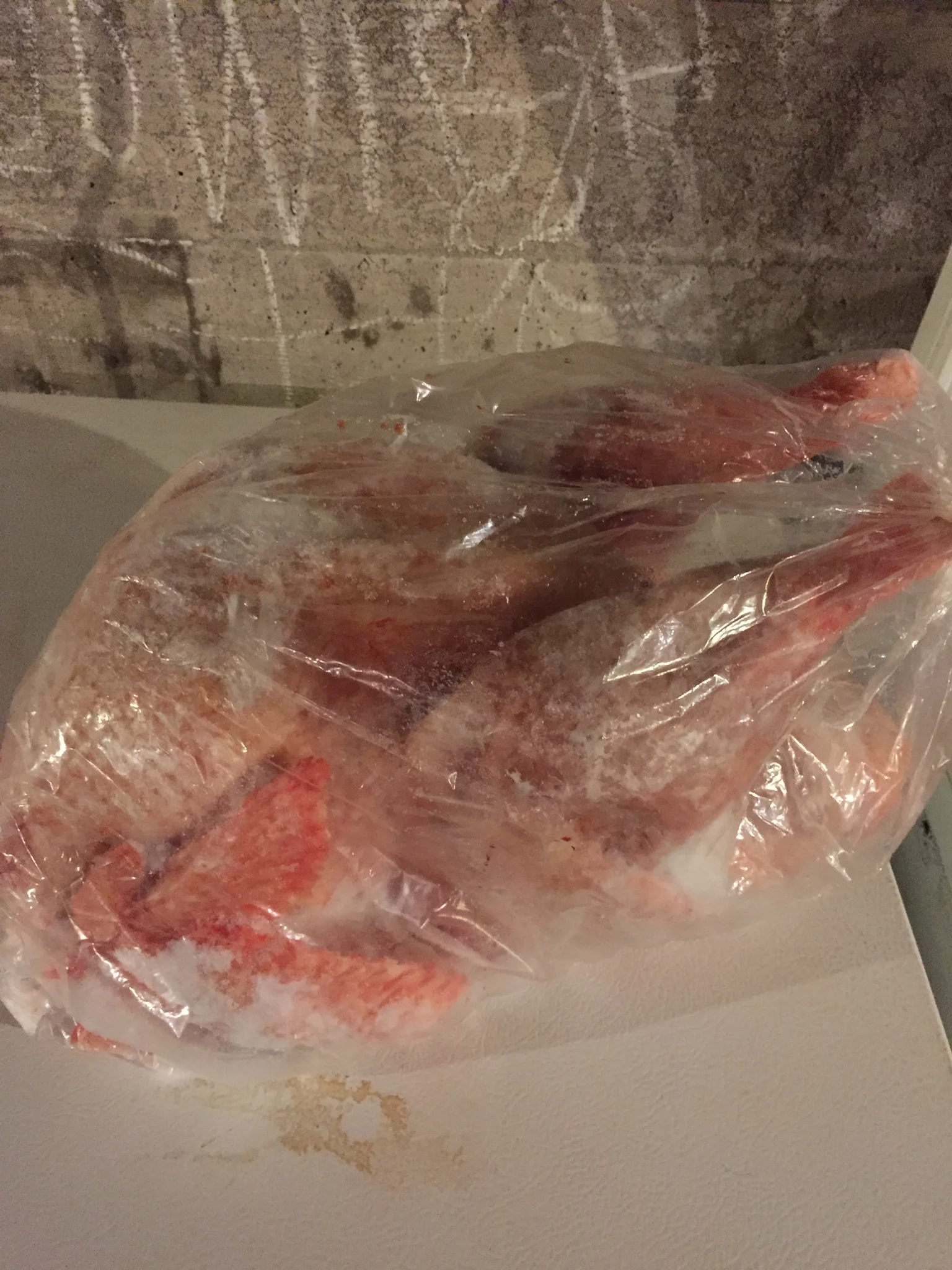 SOLD OUT until Thanksgiving- Whole Turkey - $4.50/lb, weighs 14-16 pounds