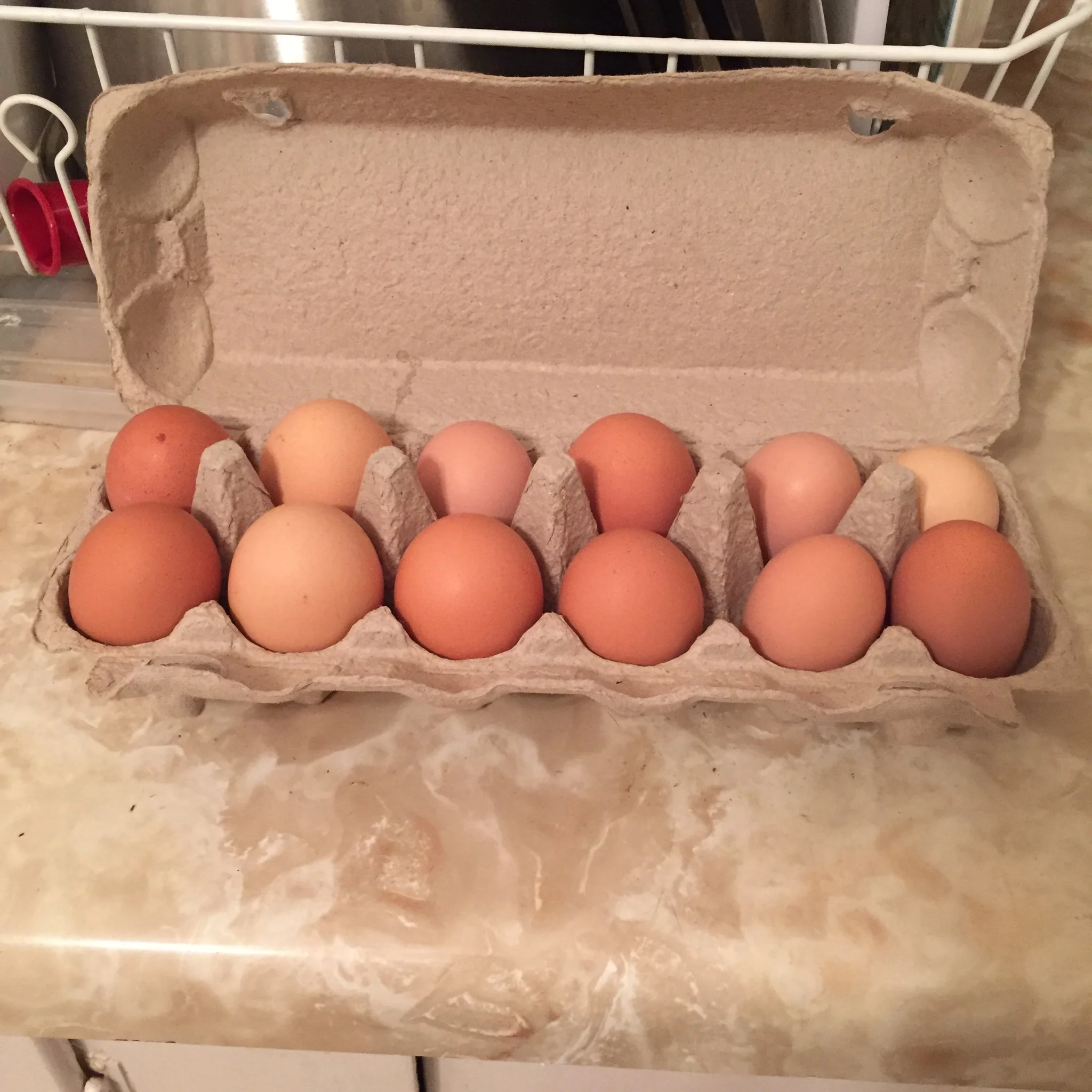 Eggs - $5/dozen for large
