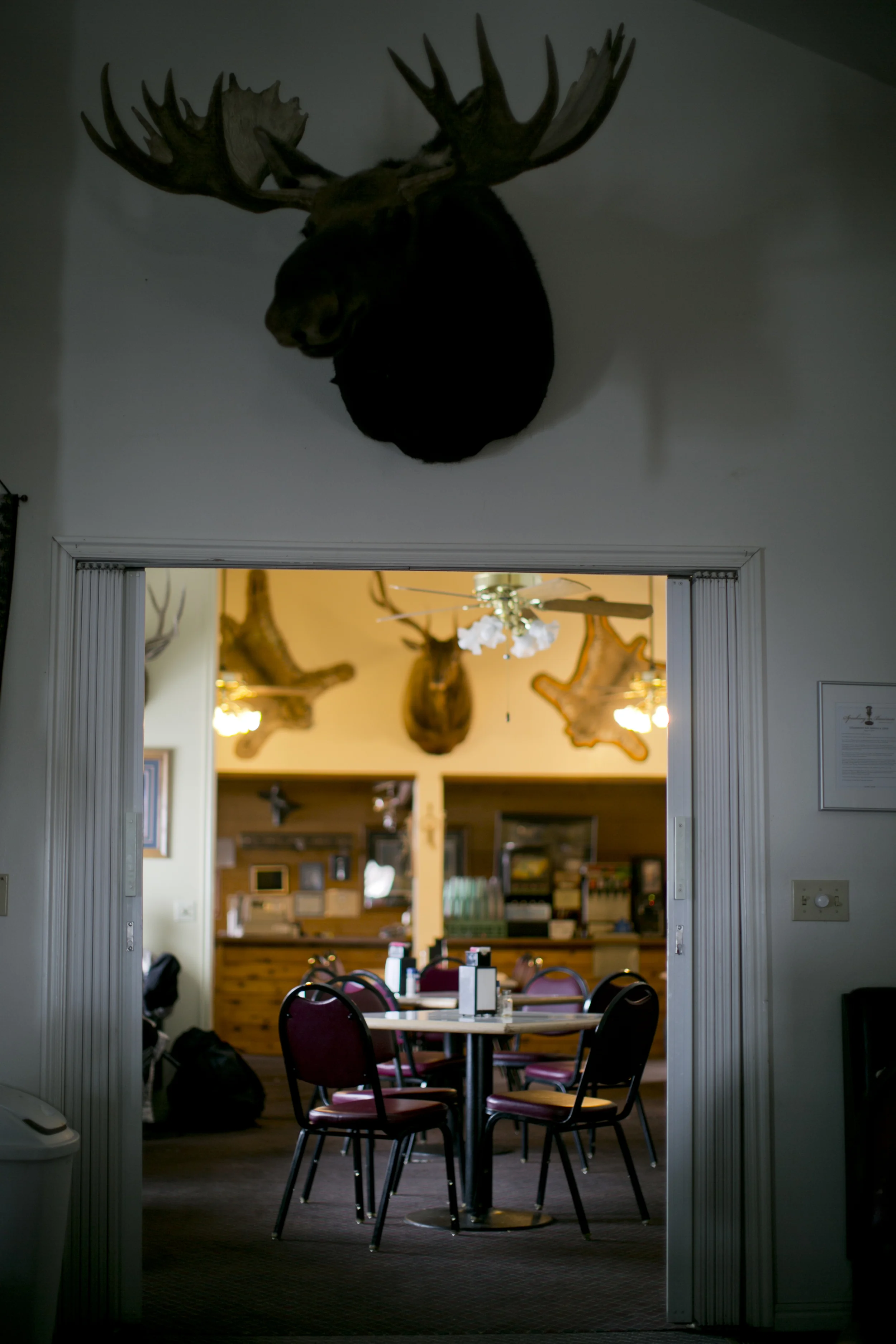 020_130128_478.jpg