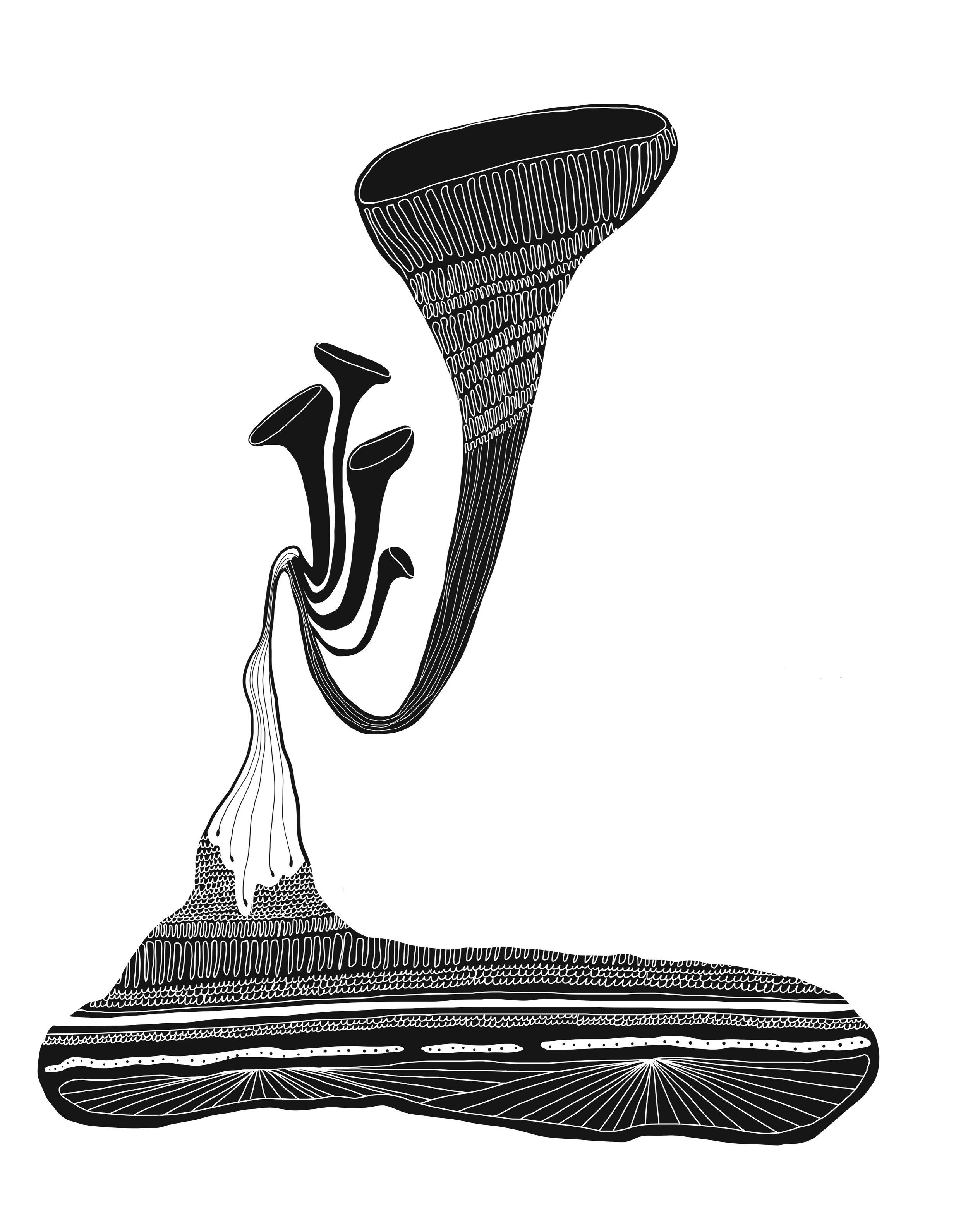 Mushroom 1 - Drawing 9.jpg
