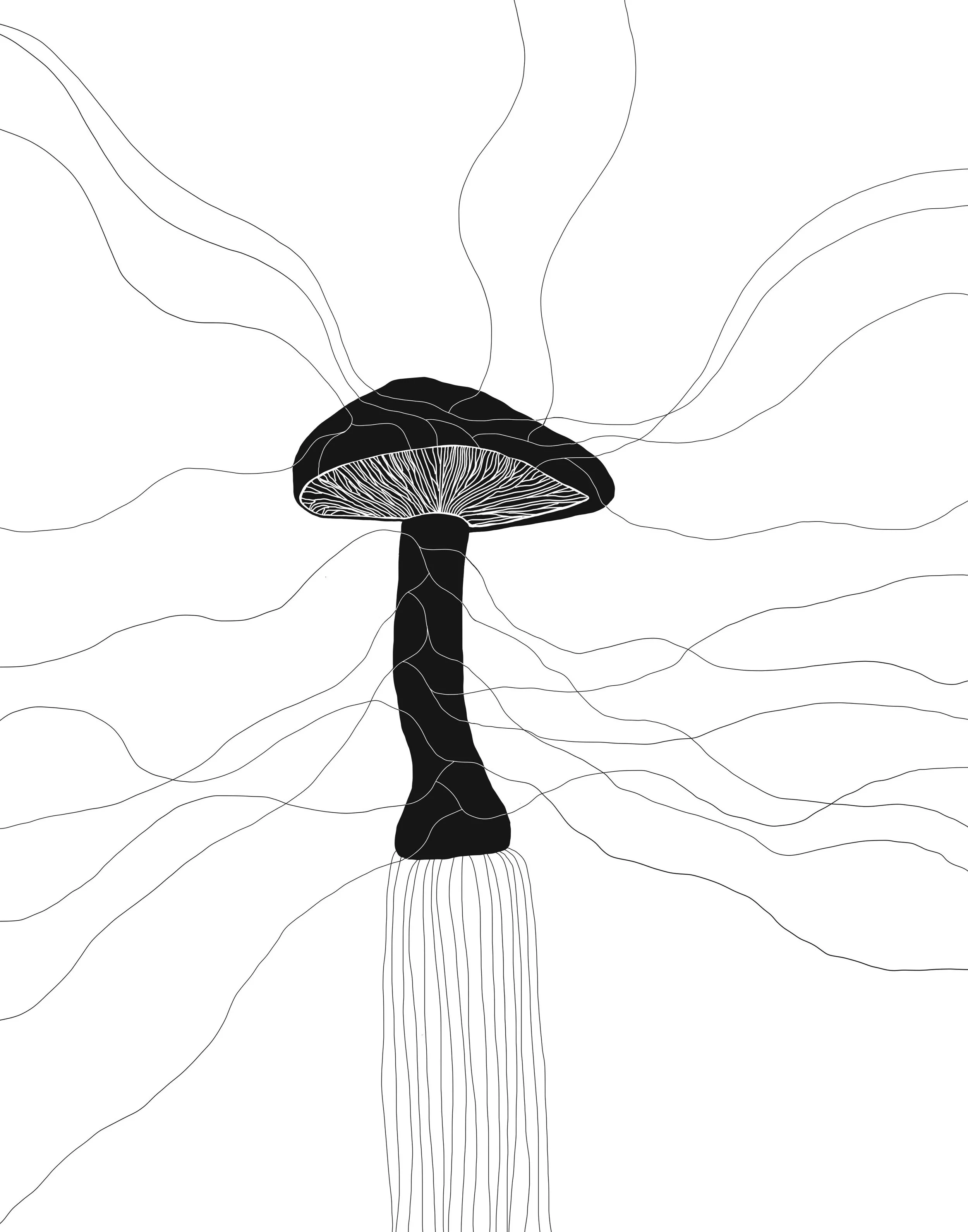 Mushroom 1 - Drawing 8_1.jpg