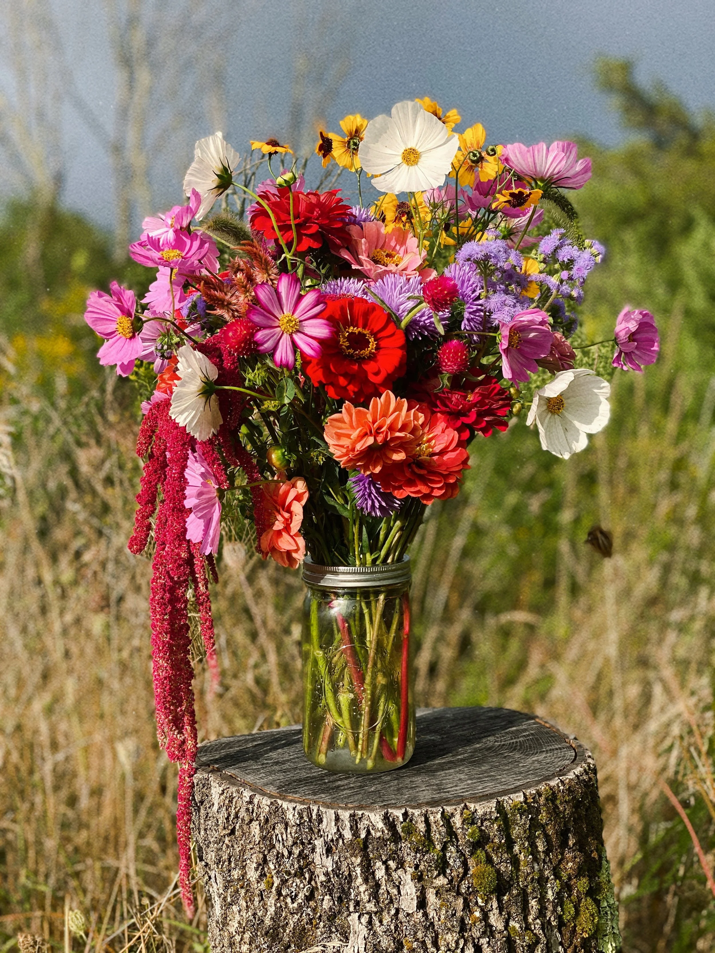 Endless Summer Bouquet.JPG