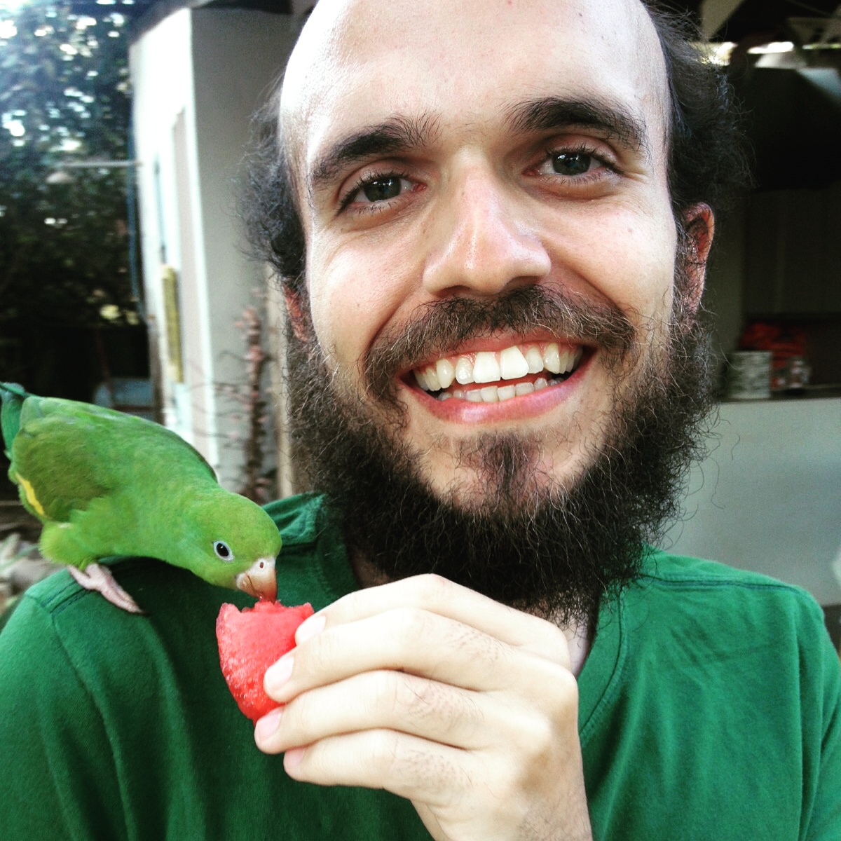 Uma tarde com o periquitinho verde