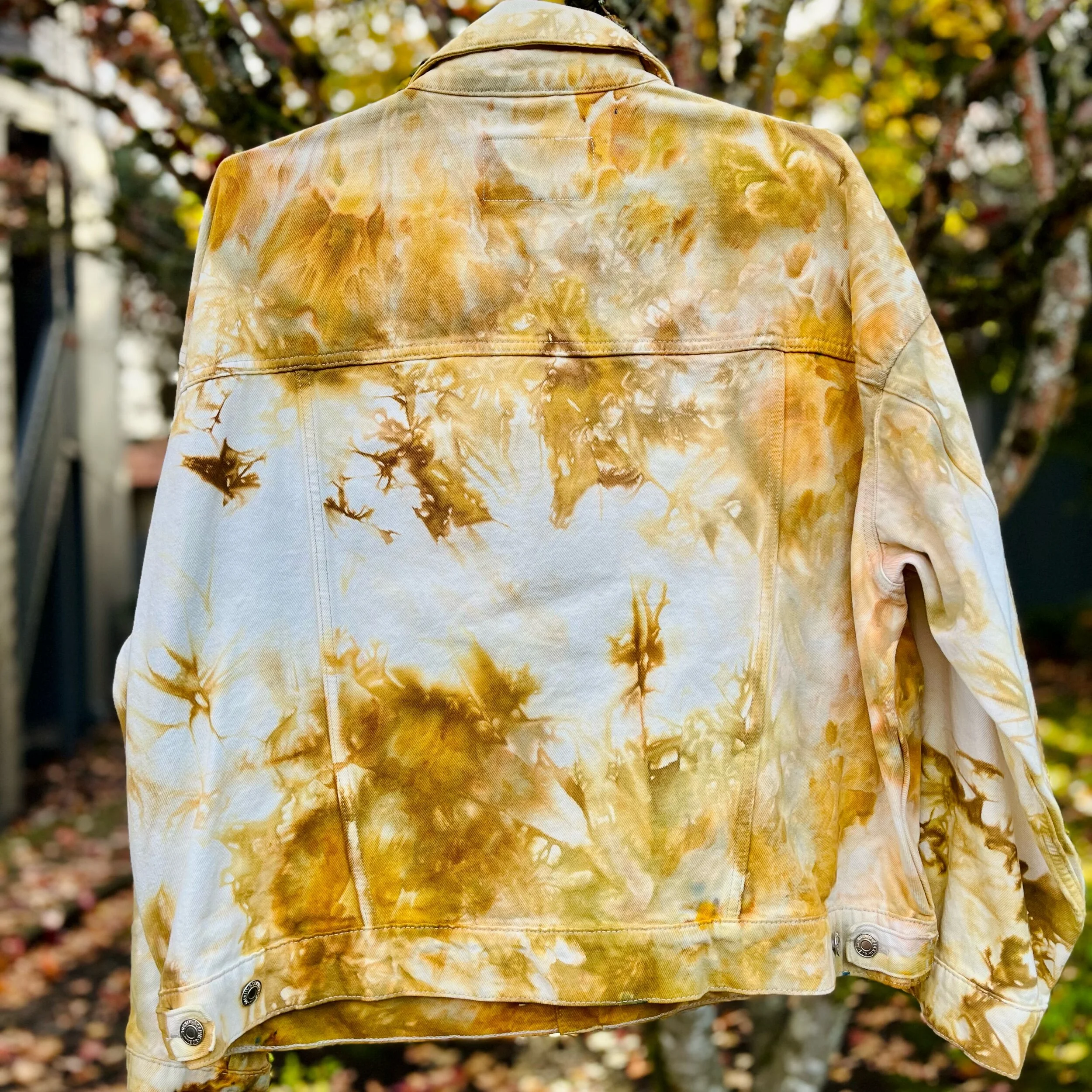 6A11B51D-C741-440D-B685-20952BC438D0