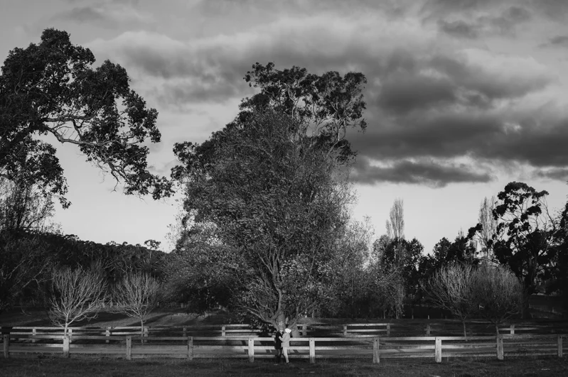 B+D-website-30.jpg